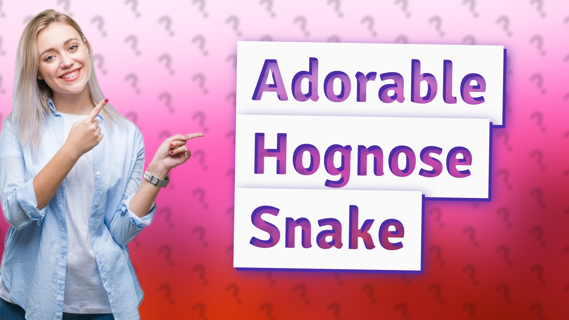 Adorable Hognose Snake