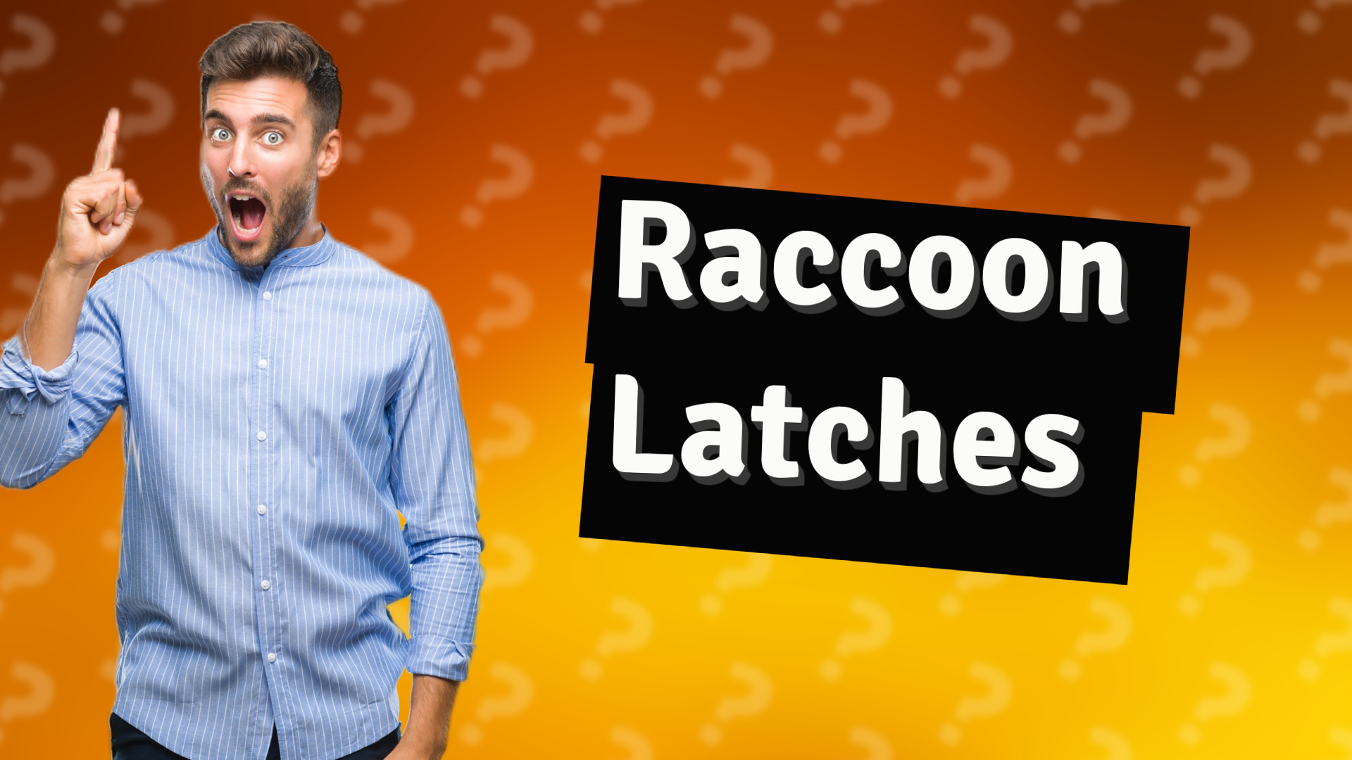 Raccoon Latches
