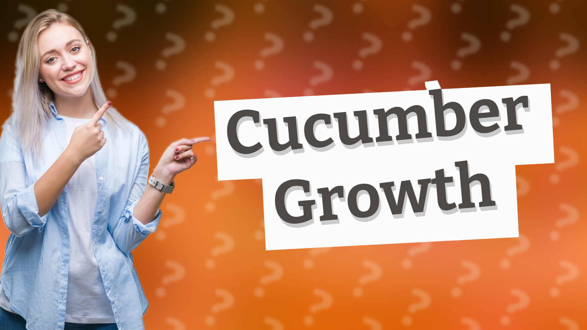 Cucumber Growth