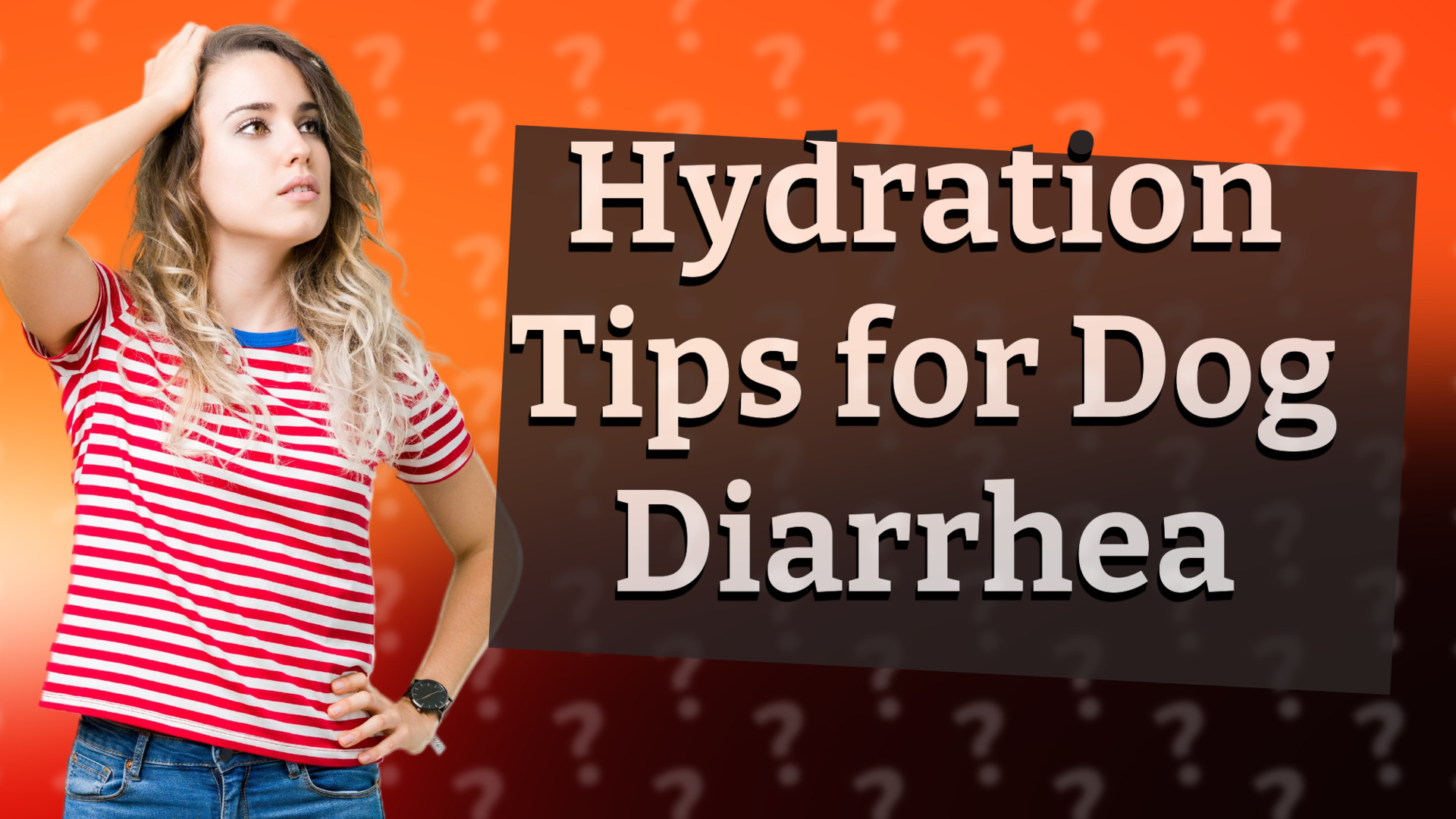 Hydration Tips for Dog Diarrhea