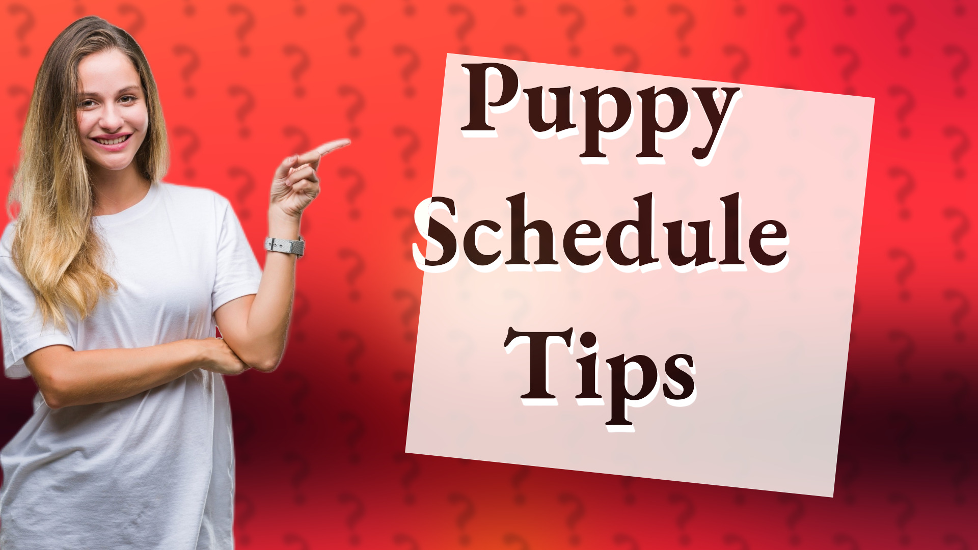 Puppy Schedule Tips
