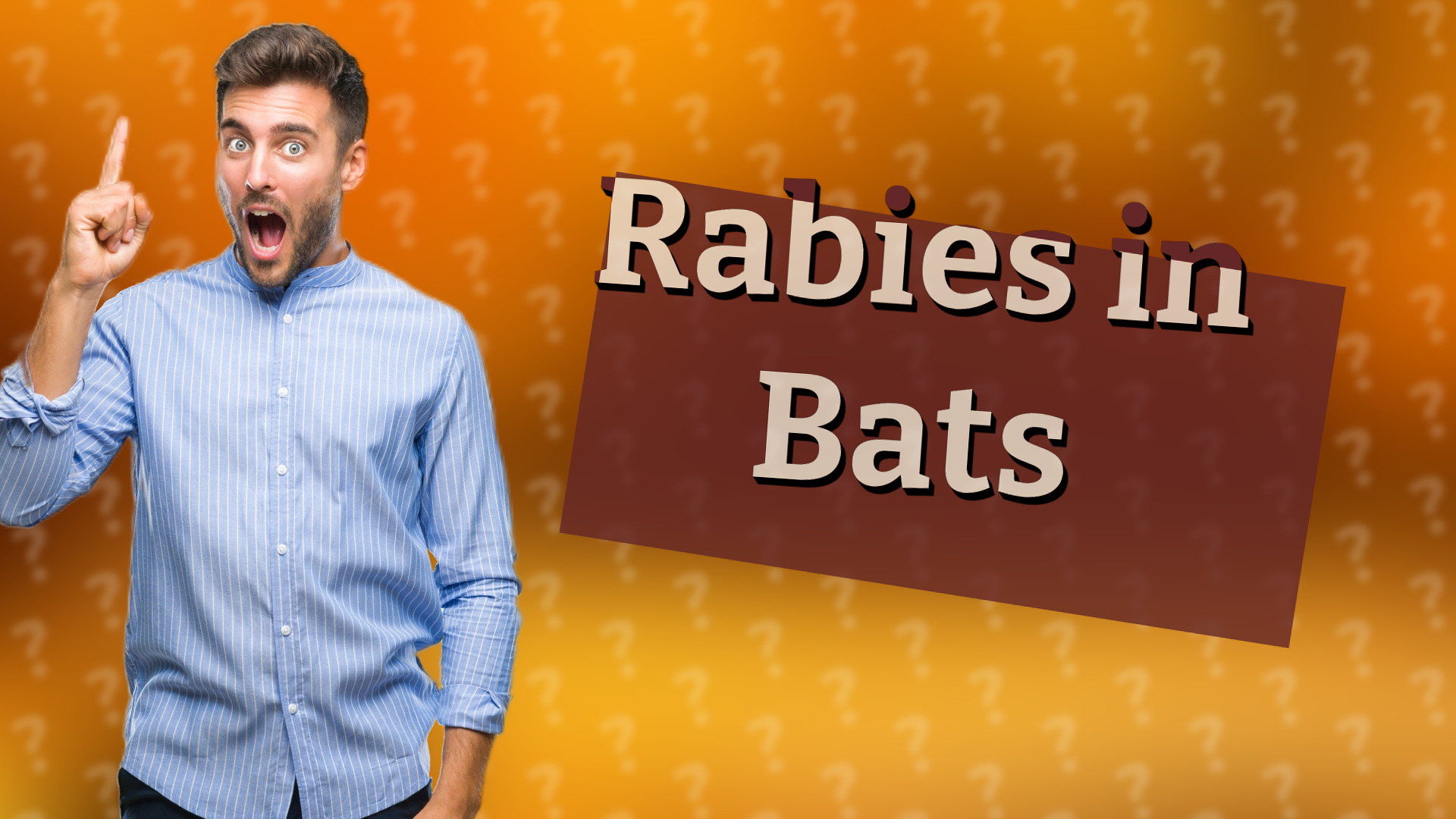 Rabies in Bats