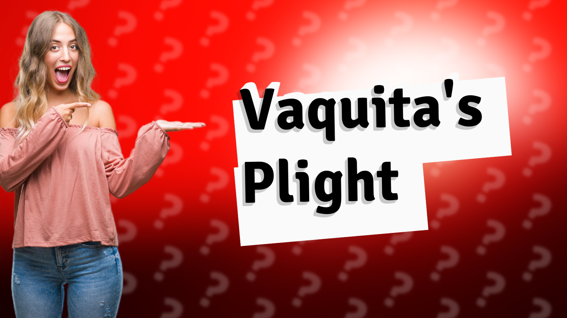 Vaquita's Plight