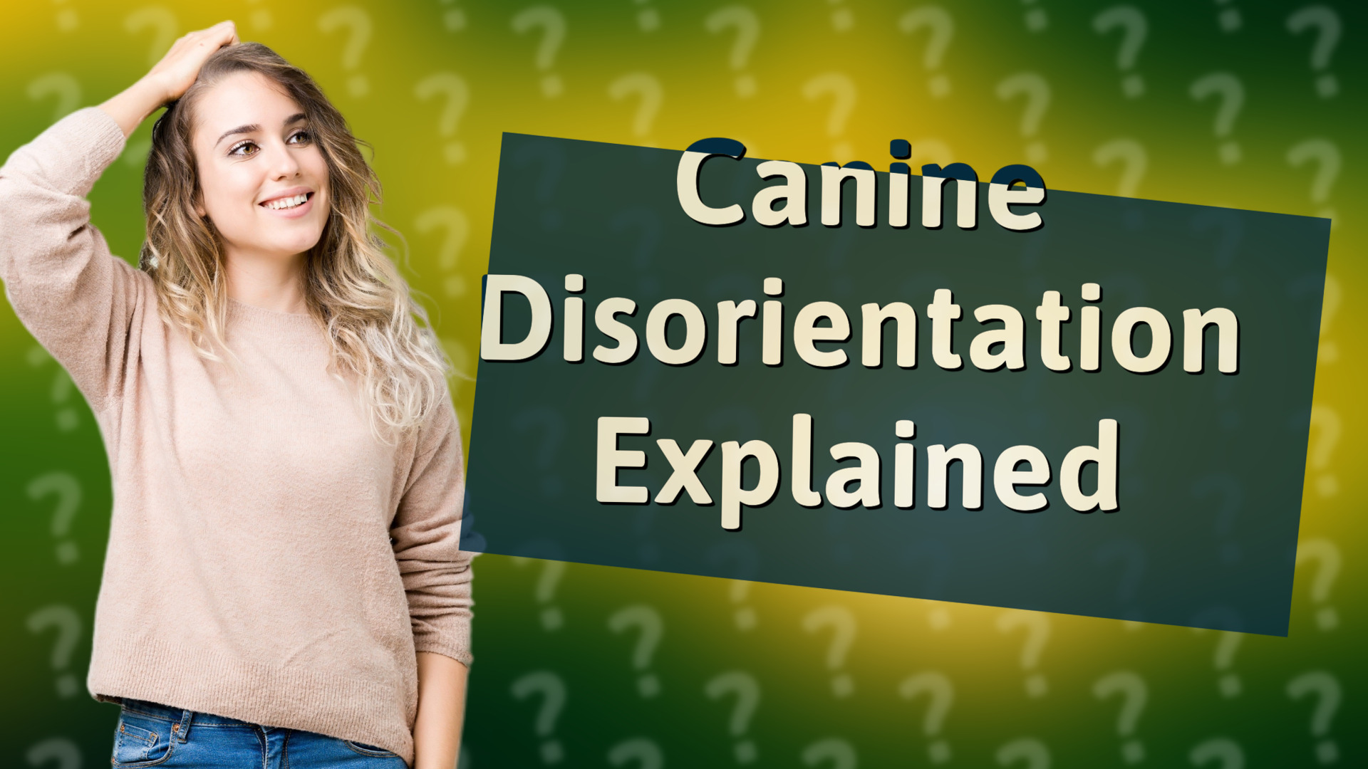 Canine Disorientation Explained