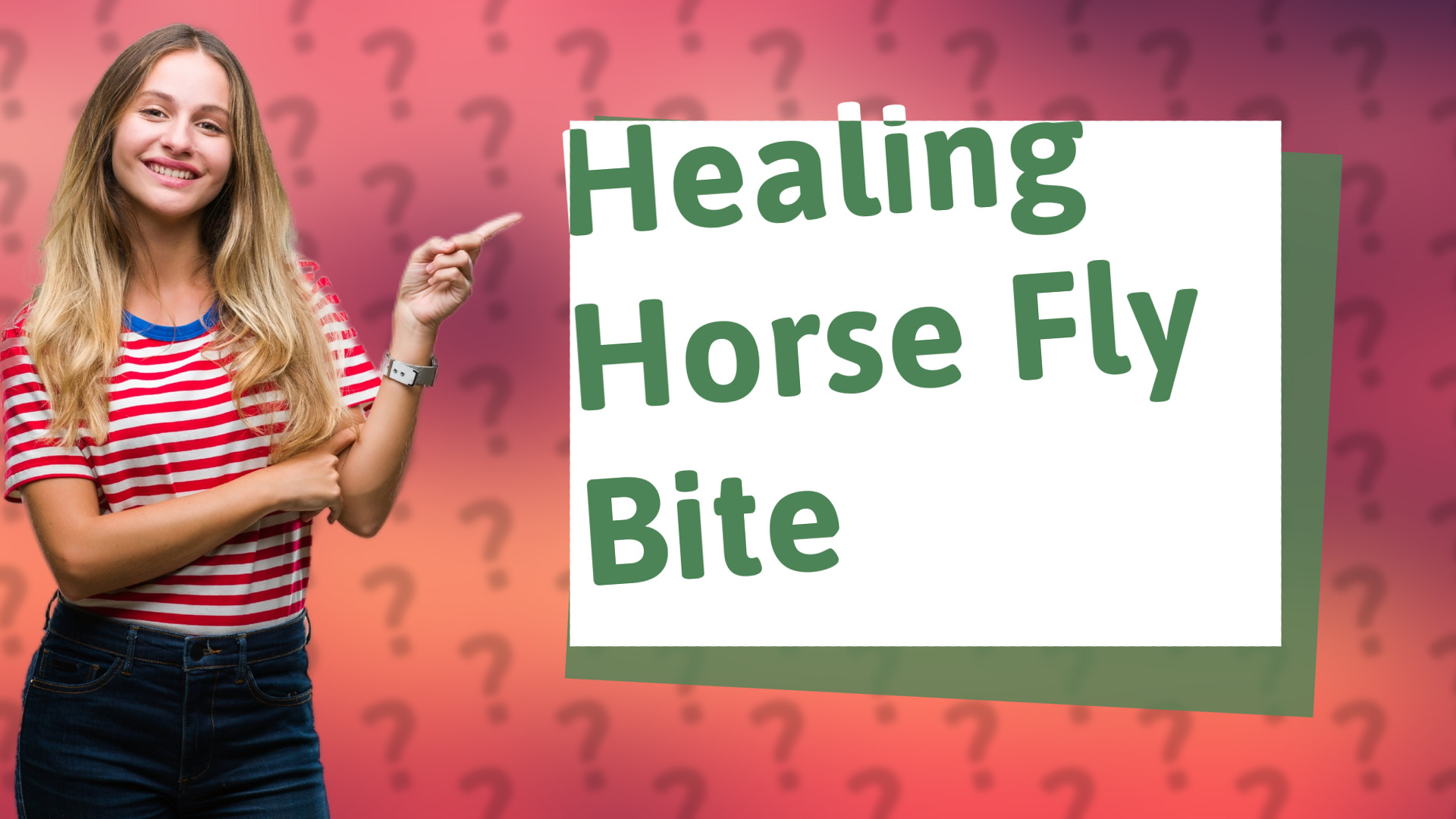 Healing Horse Fly Bite