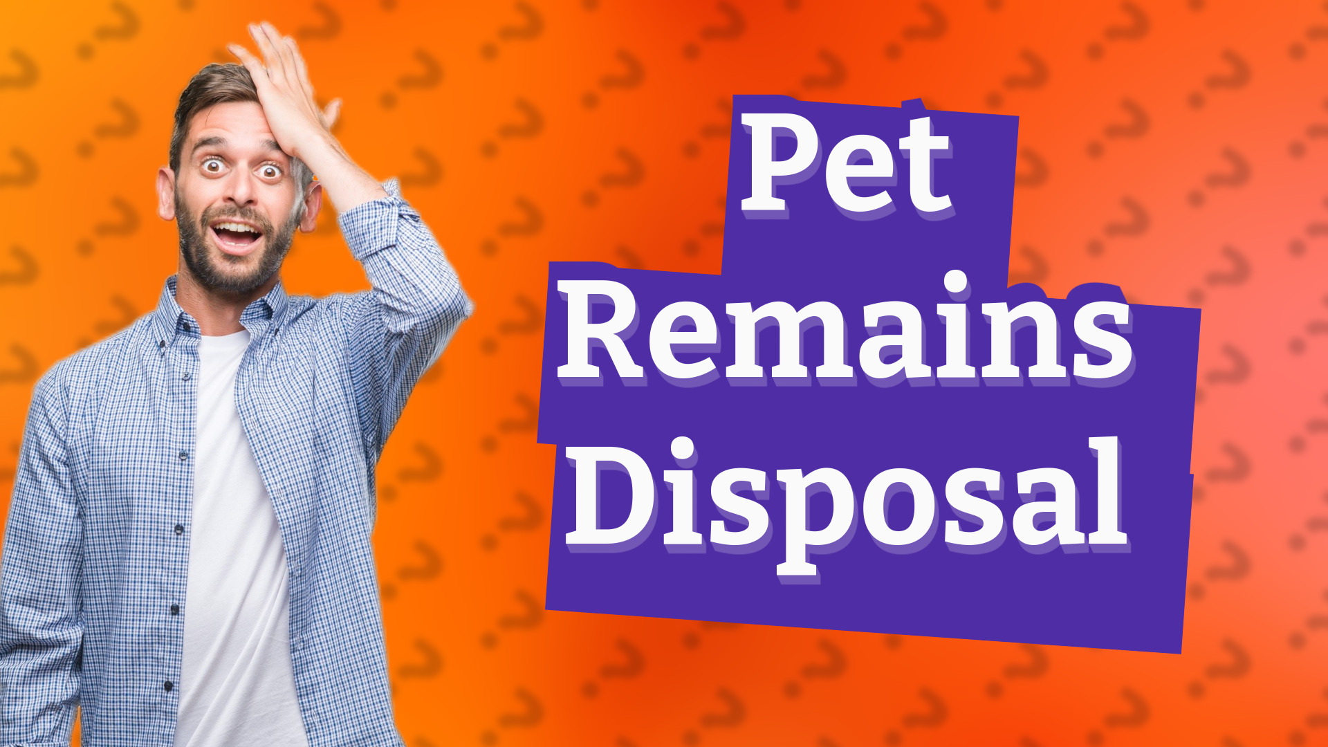 Pet Remains Disposal