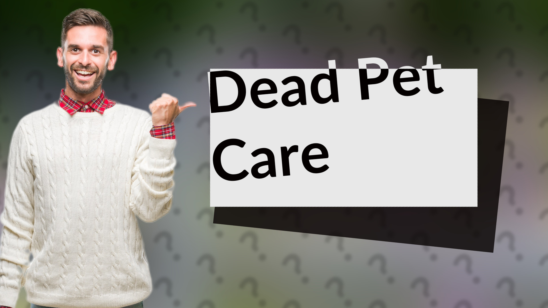 Dead Pet Care