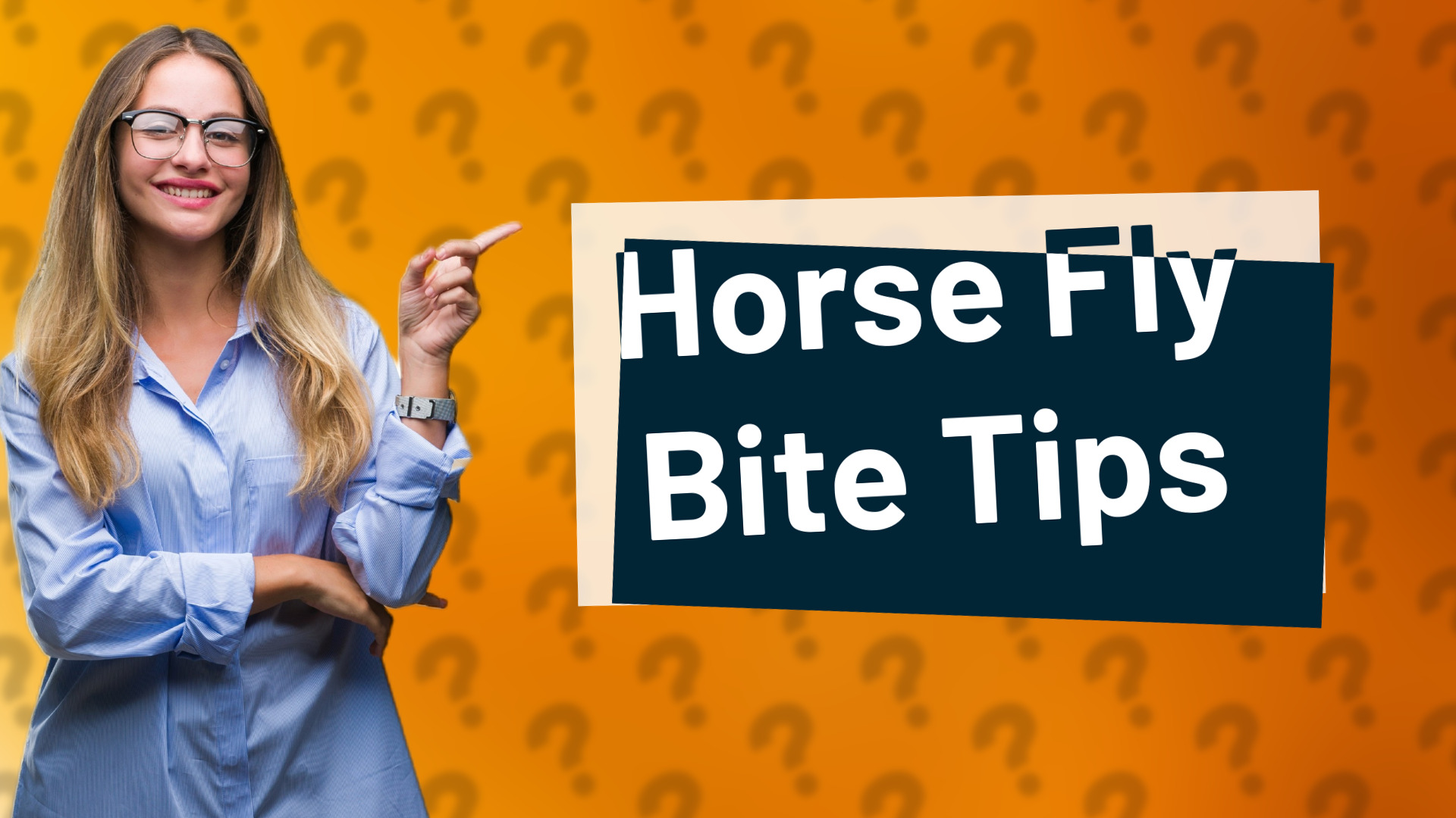 Horse Fly Bite Tips