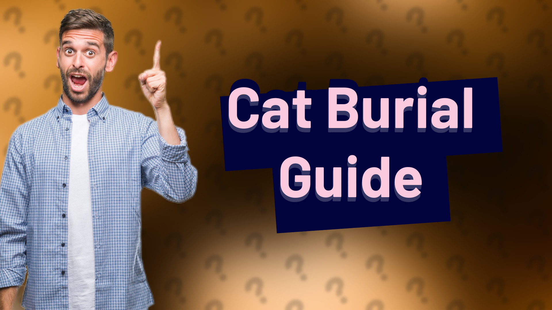 Cat Burial Guide