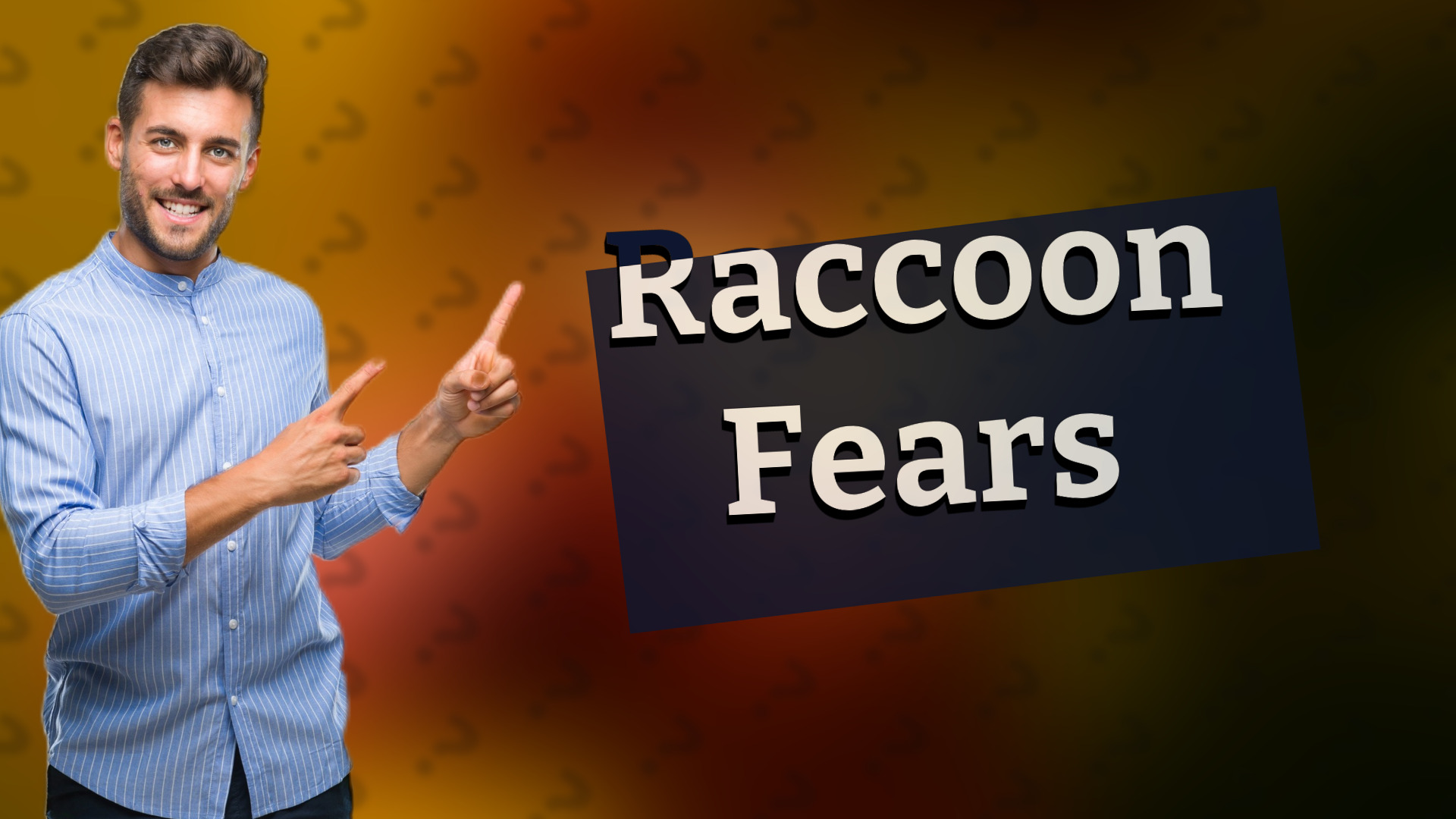 Raccoon Fears