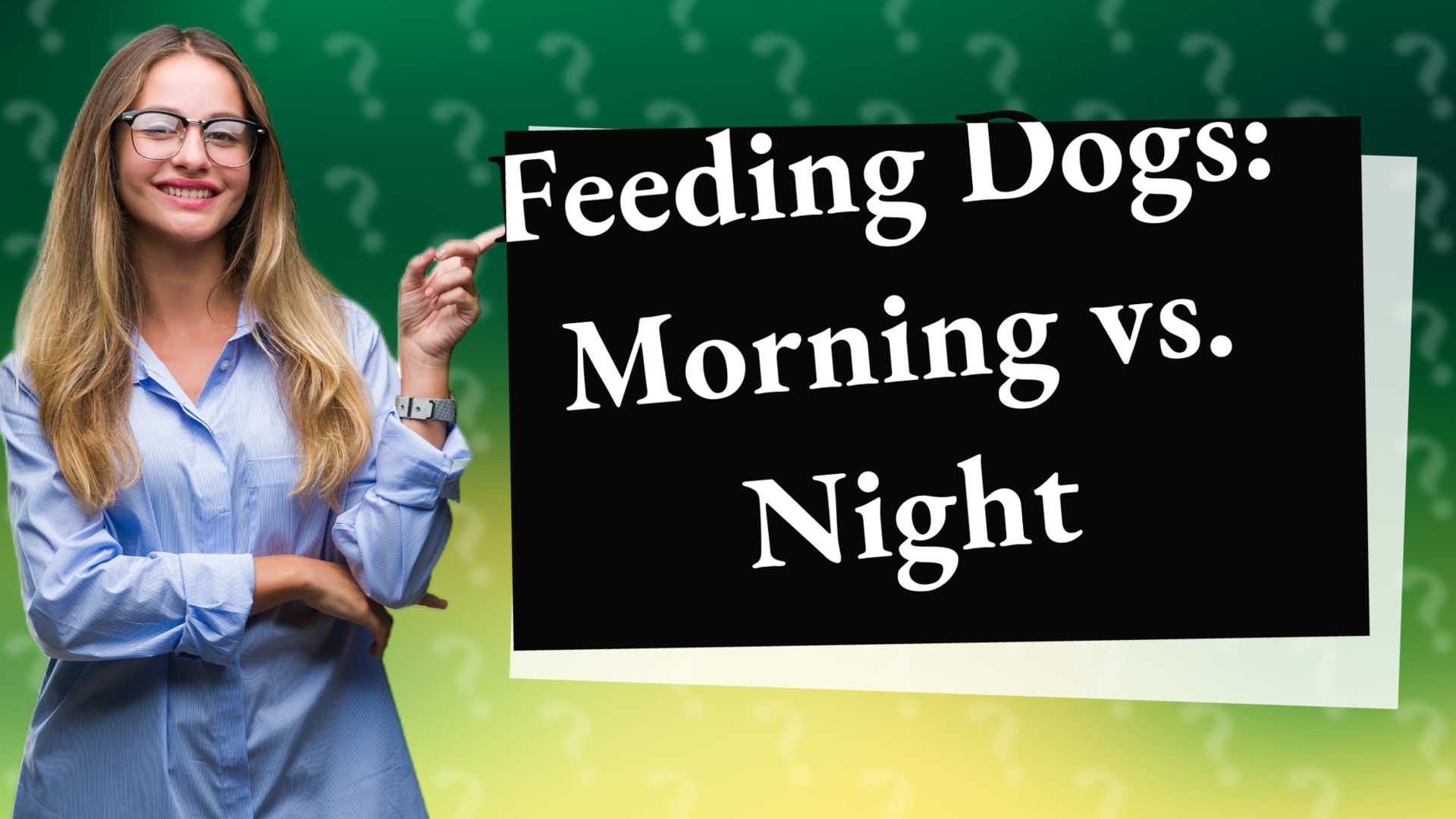 Feeding Dogs: Morning vs. Night