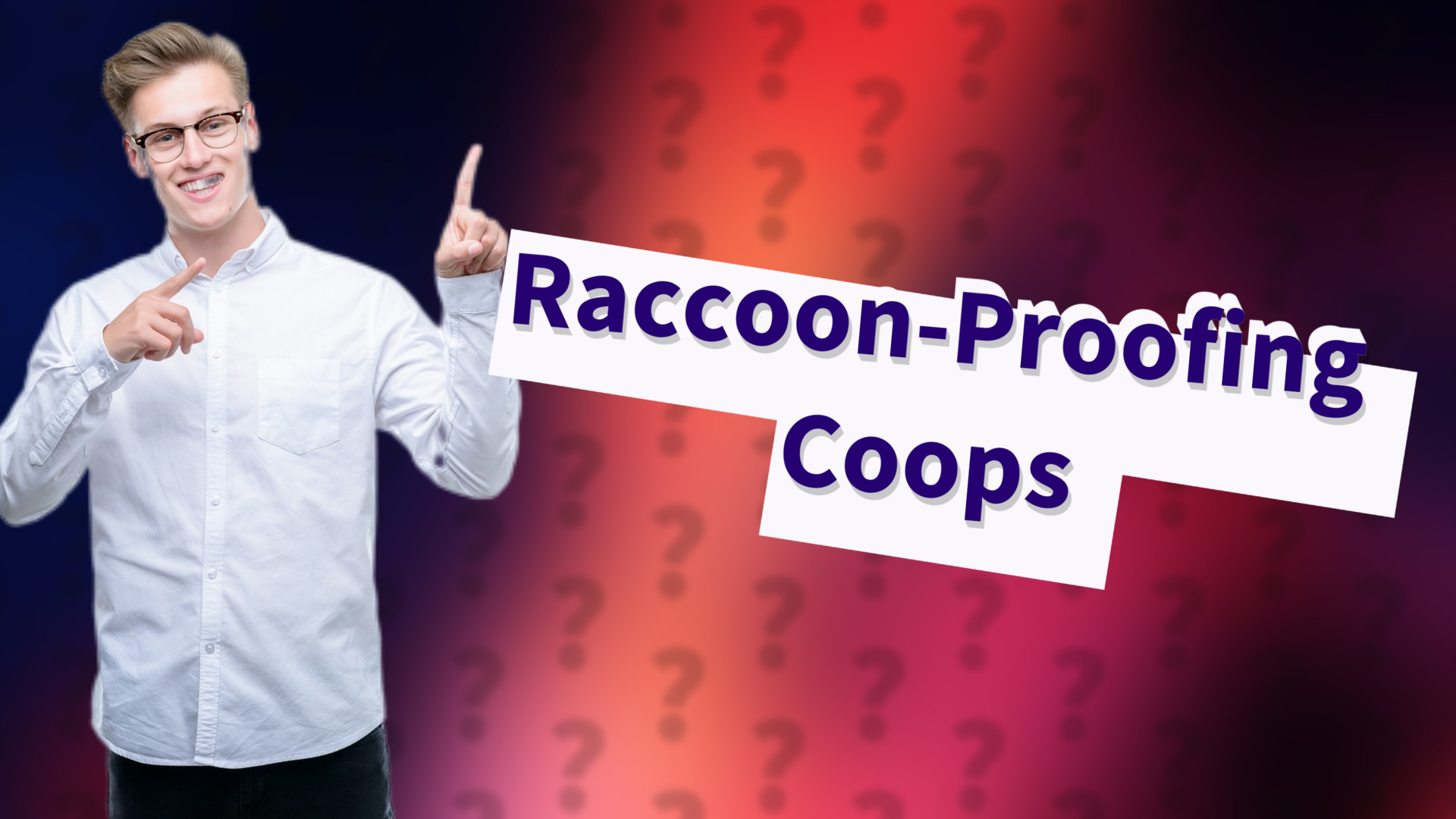 Raccoon-Proofing Coops