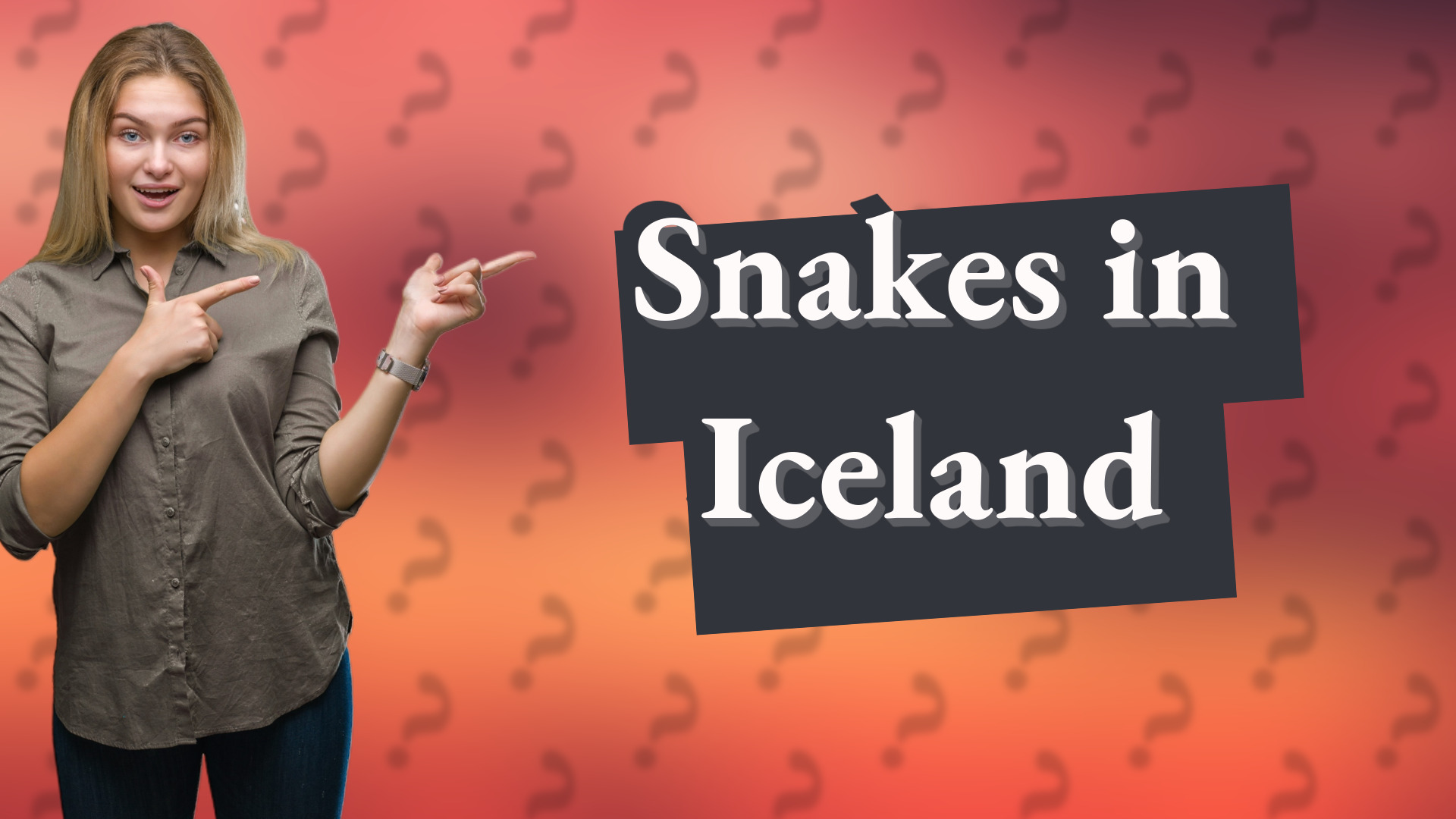 Snakes in Iceland