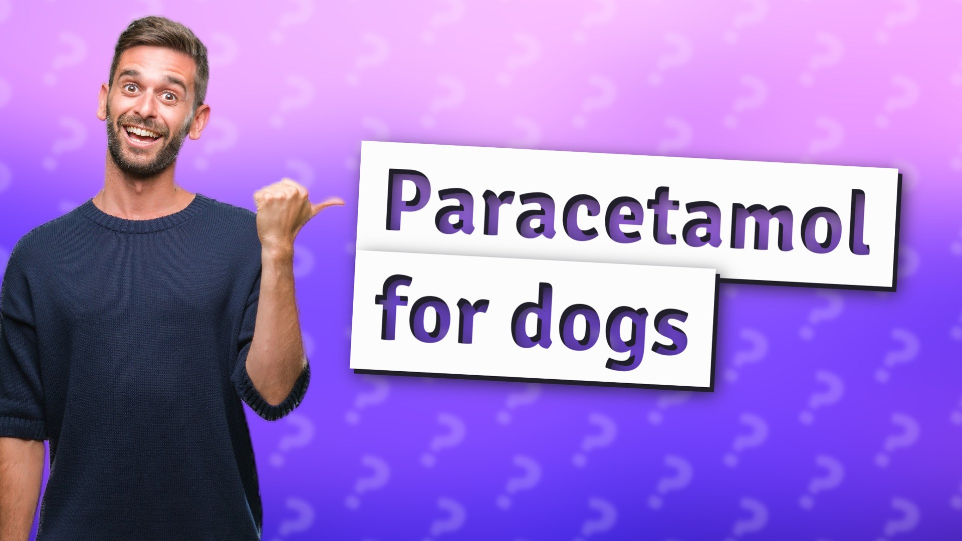 Paracetamol for dogs
