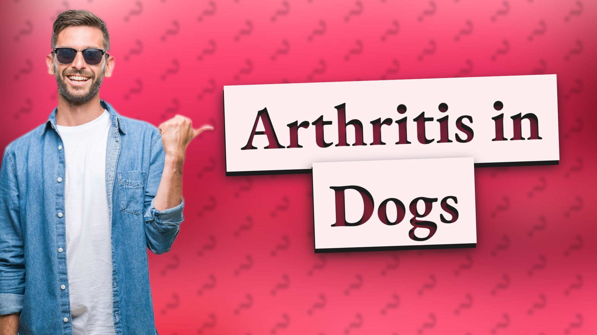 Arthritis in Dogs