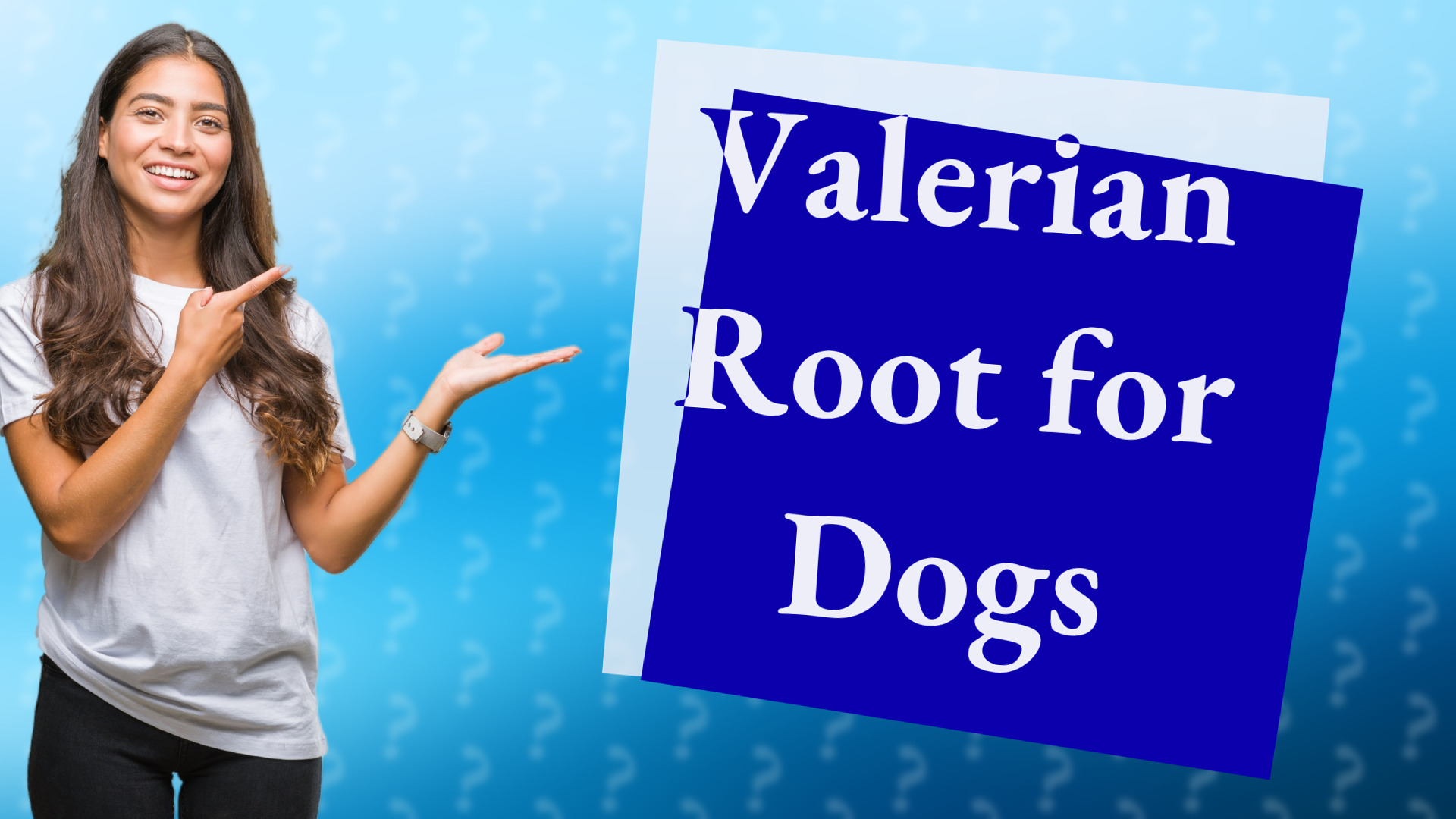 Valerian Root for Dogs