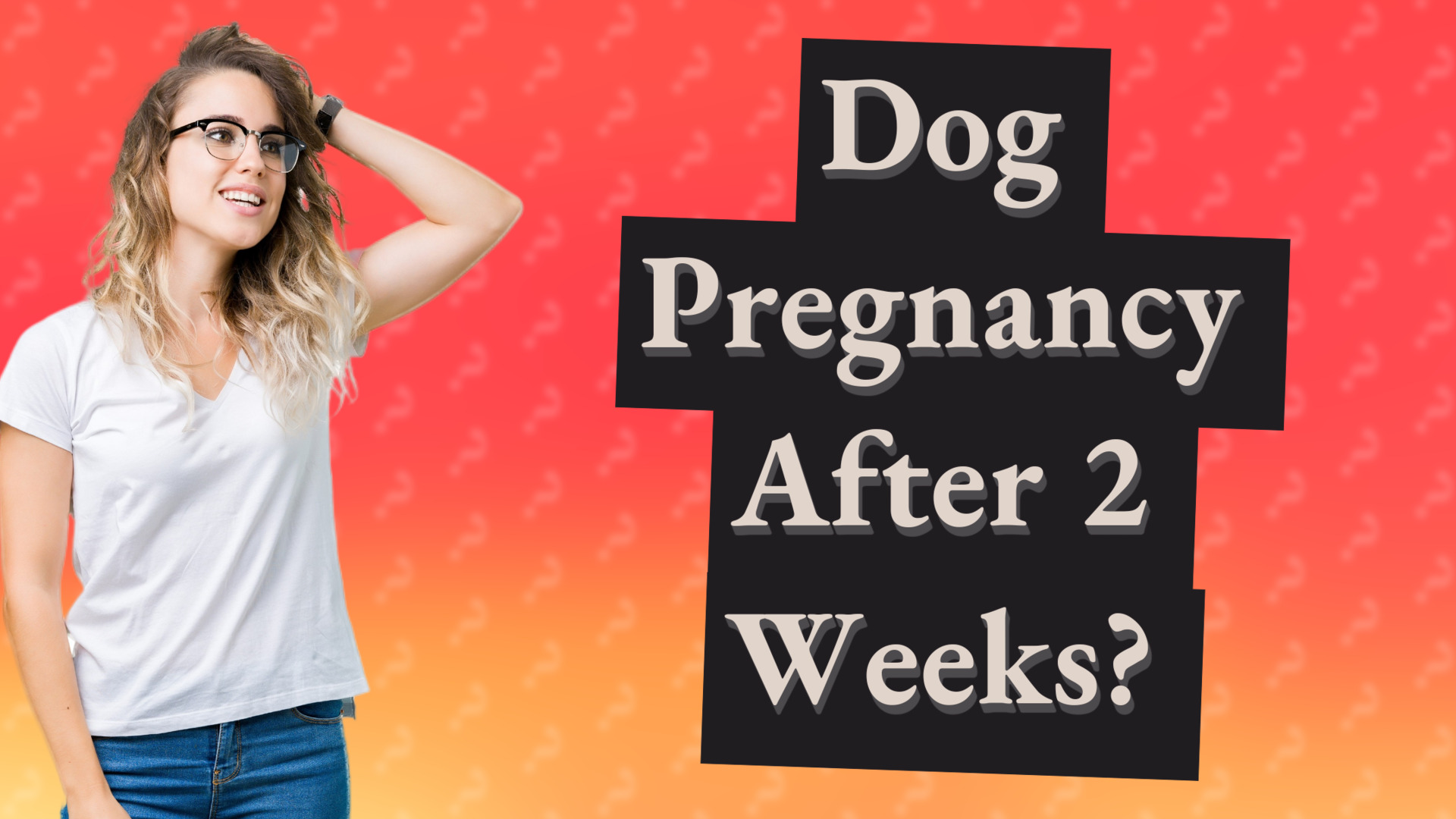 Dog Pregnancy After 2 Weeks?