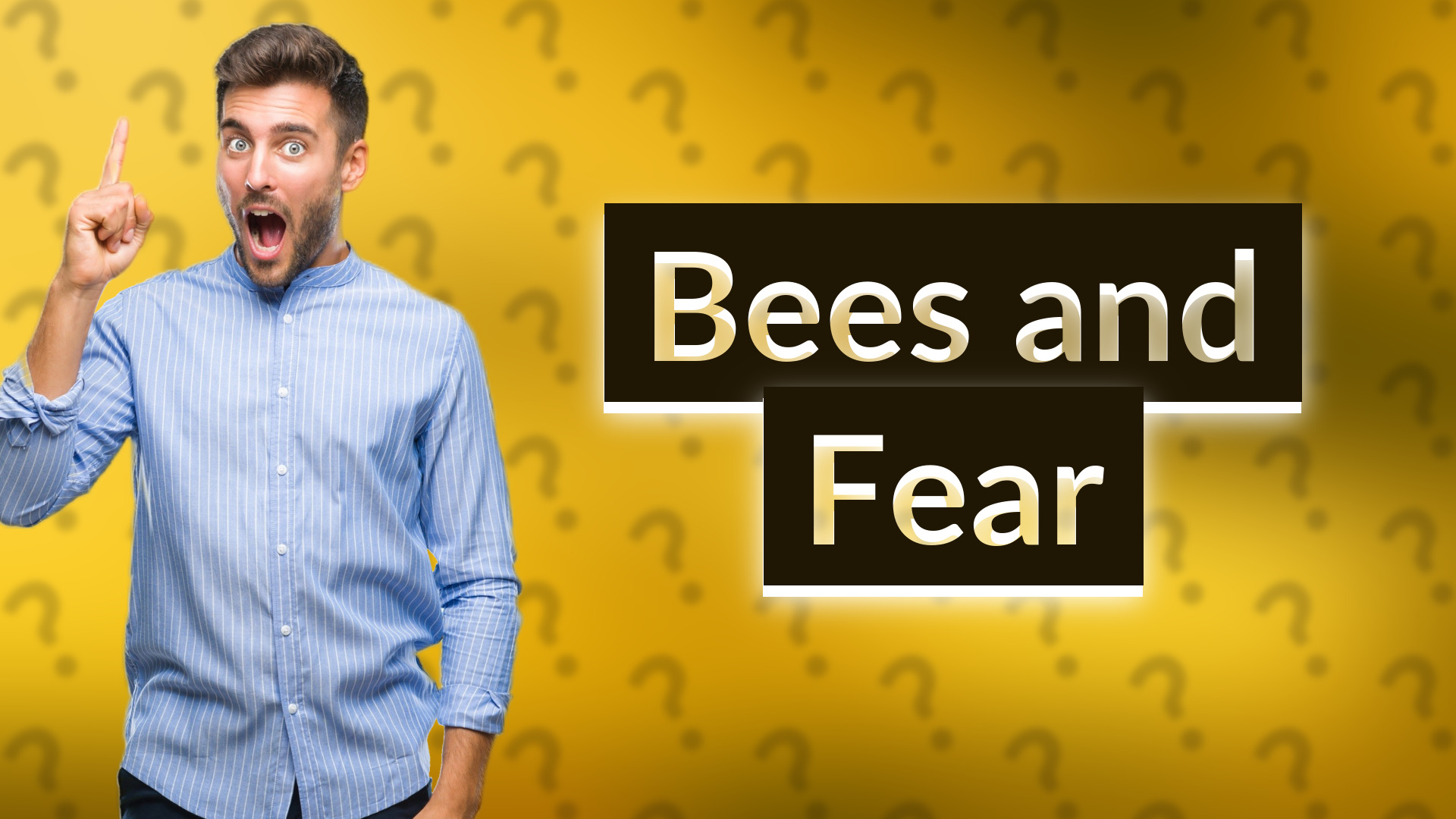 Bees and Fear