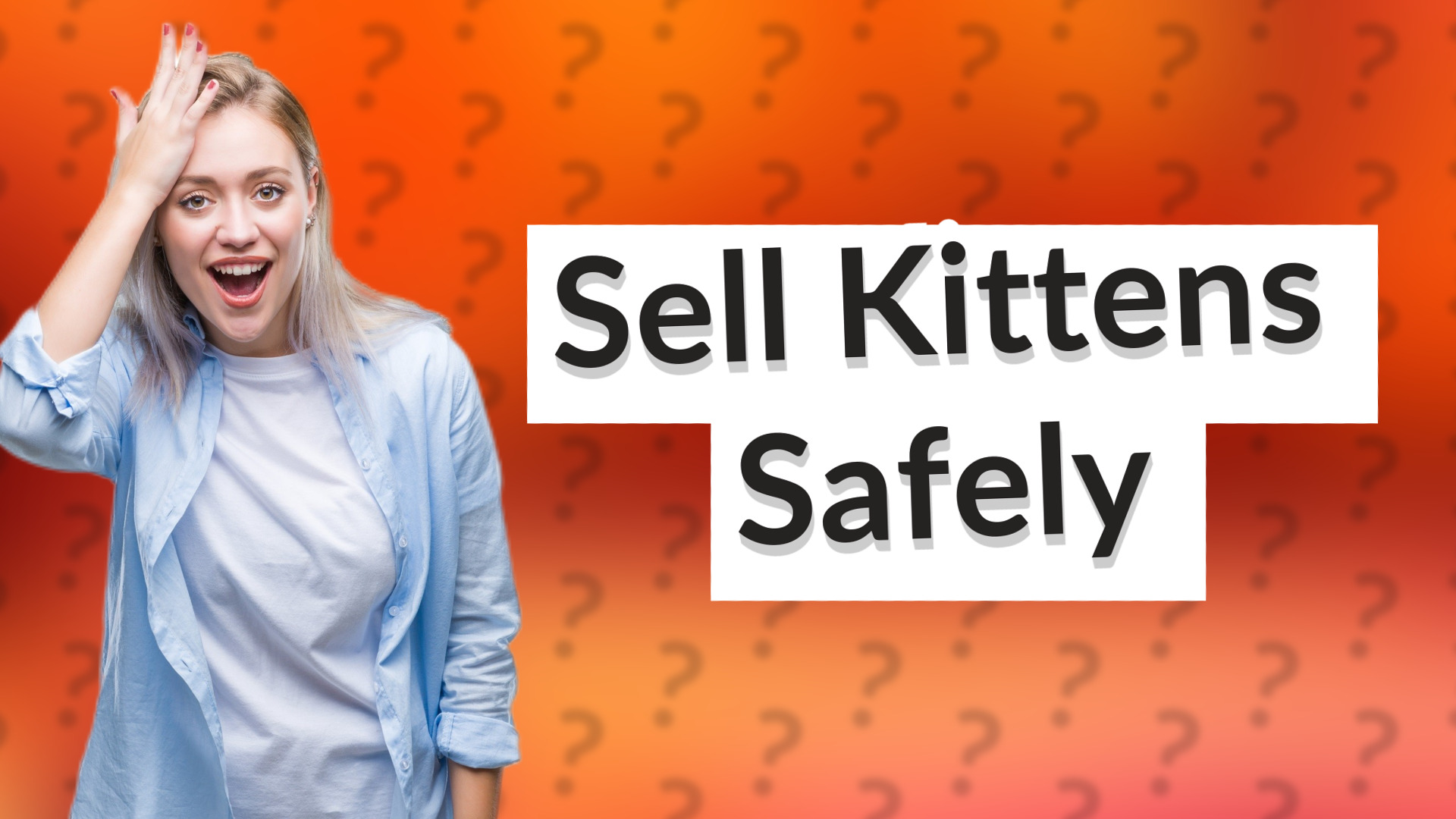 Sell Kittens Safely