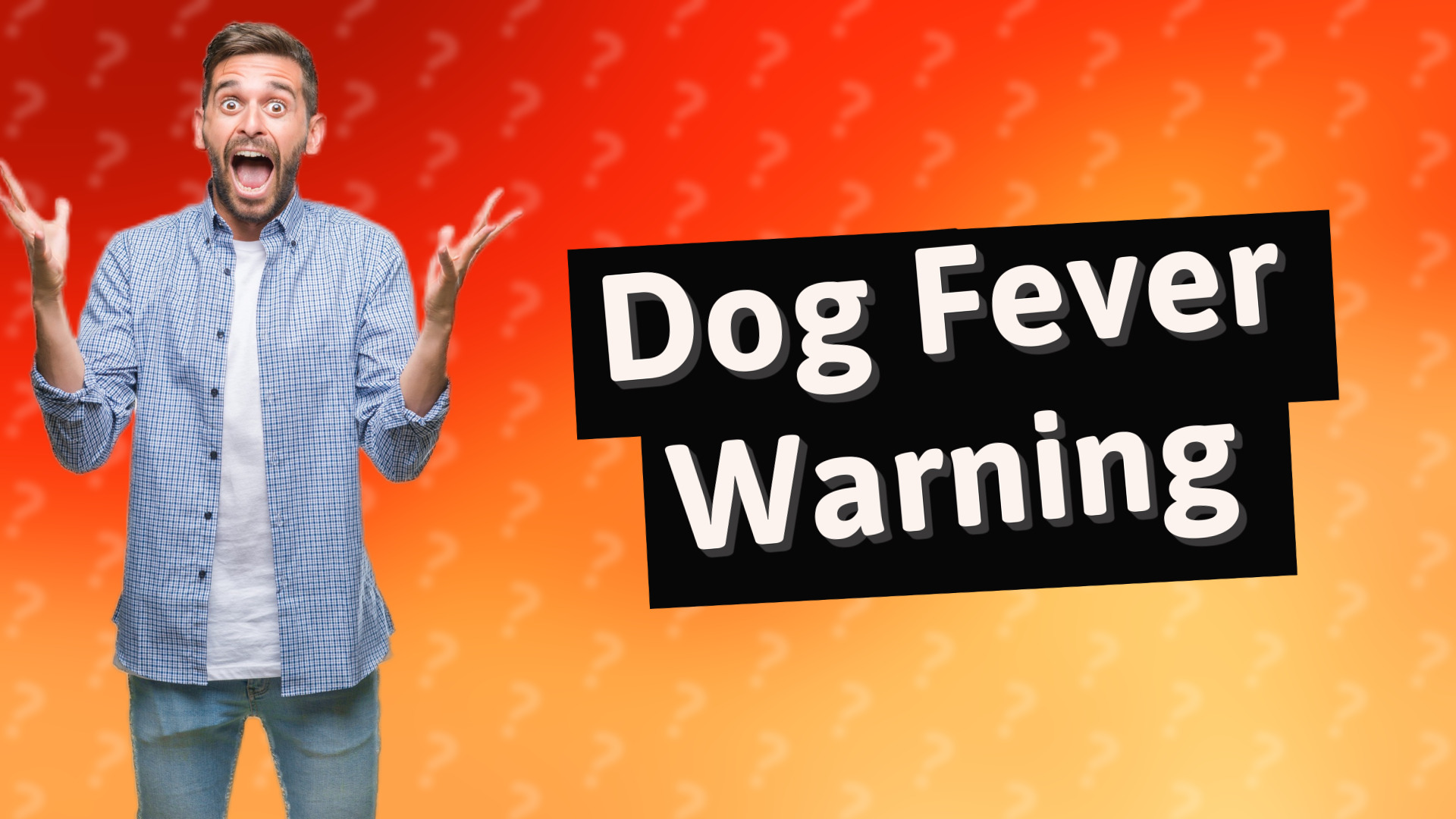 Dog Fever Warning