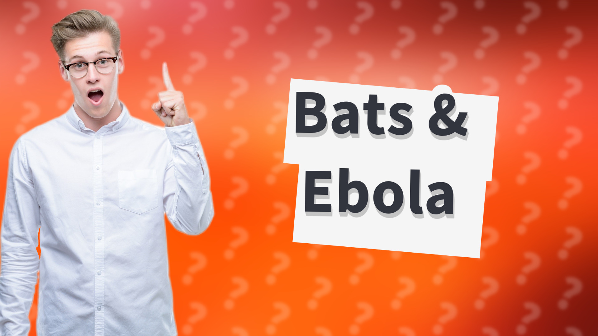 Bats & Ebola