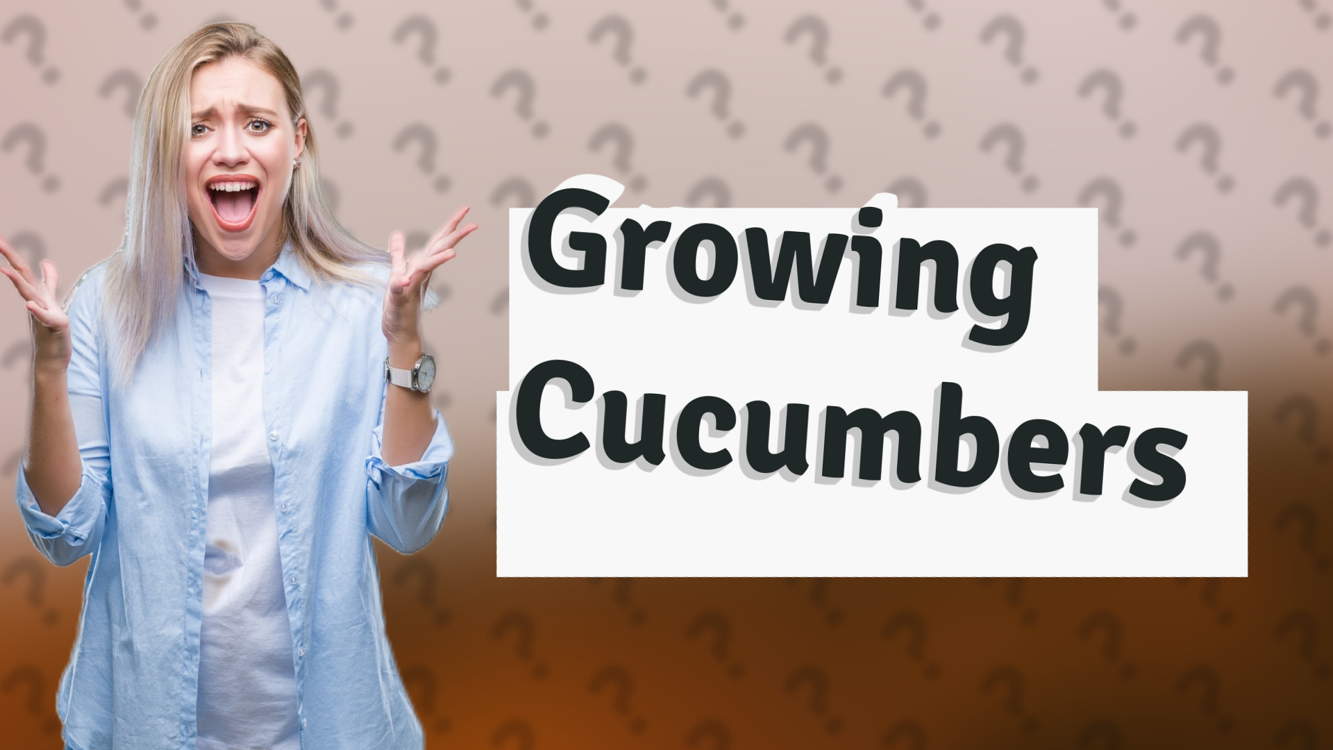 Growing Cucumbers