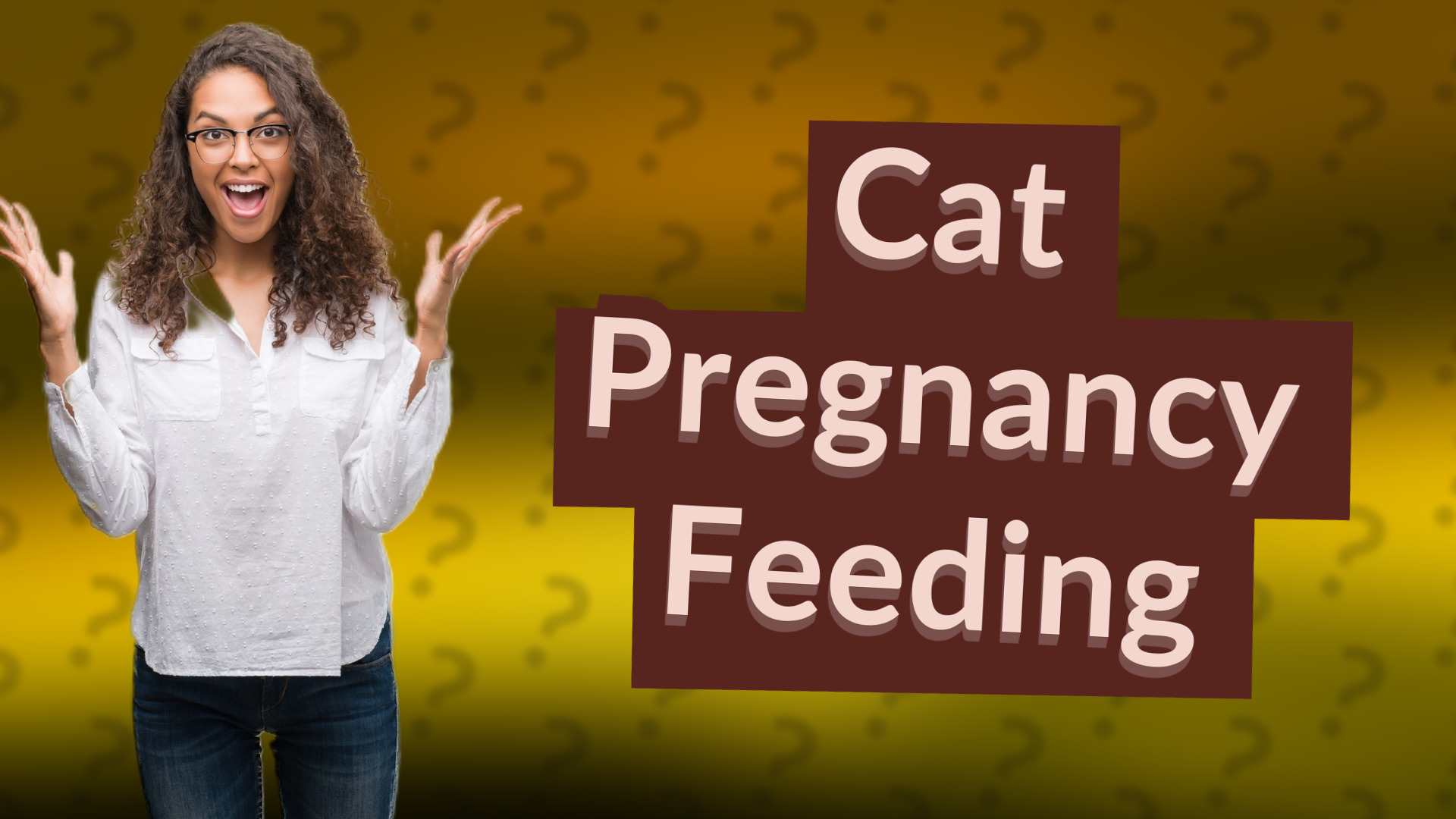 Cat Pregnancy Feeding