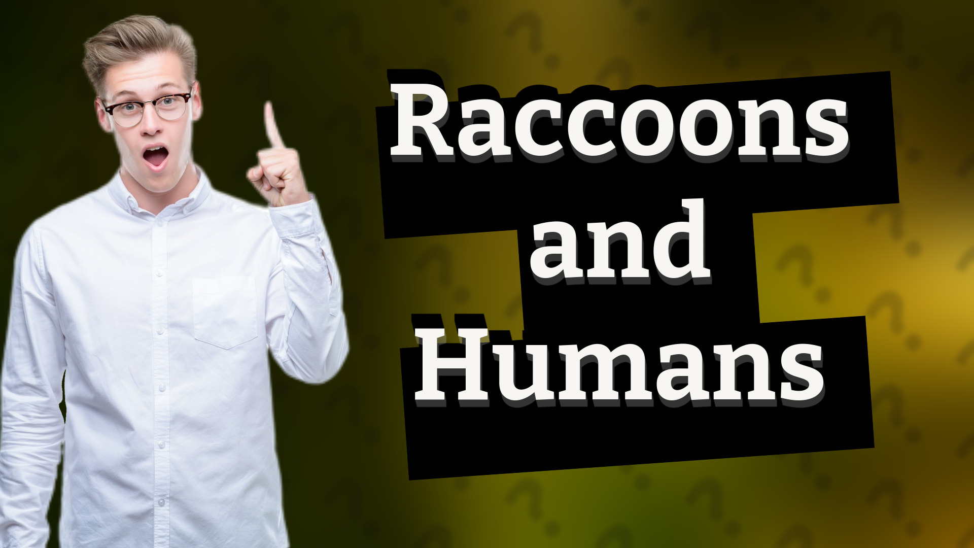 Raccoons and Humans