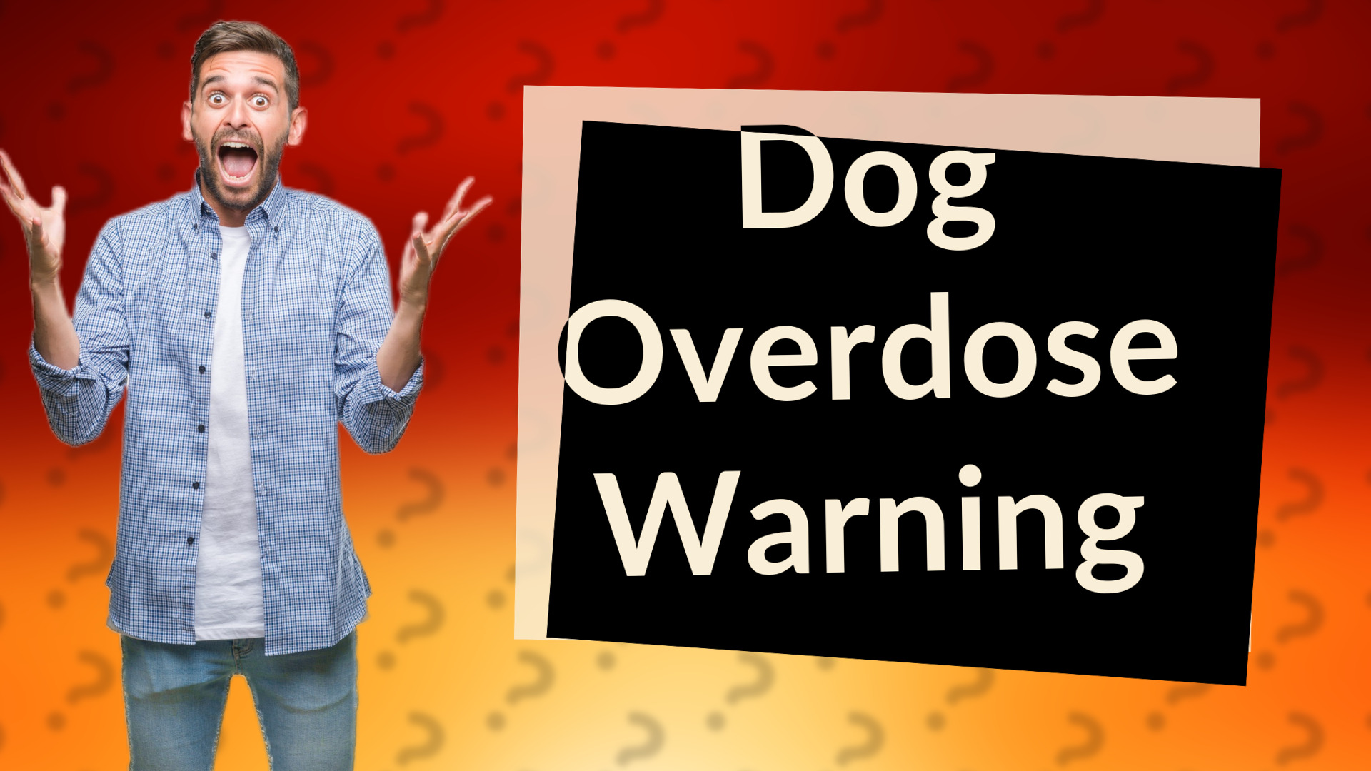 Dog Overdose Warning