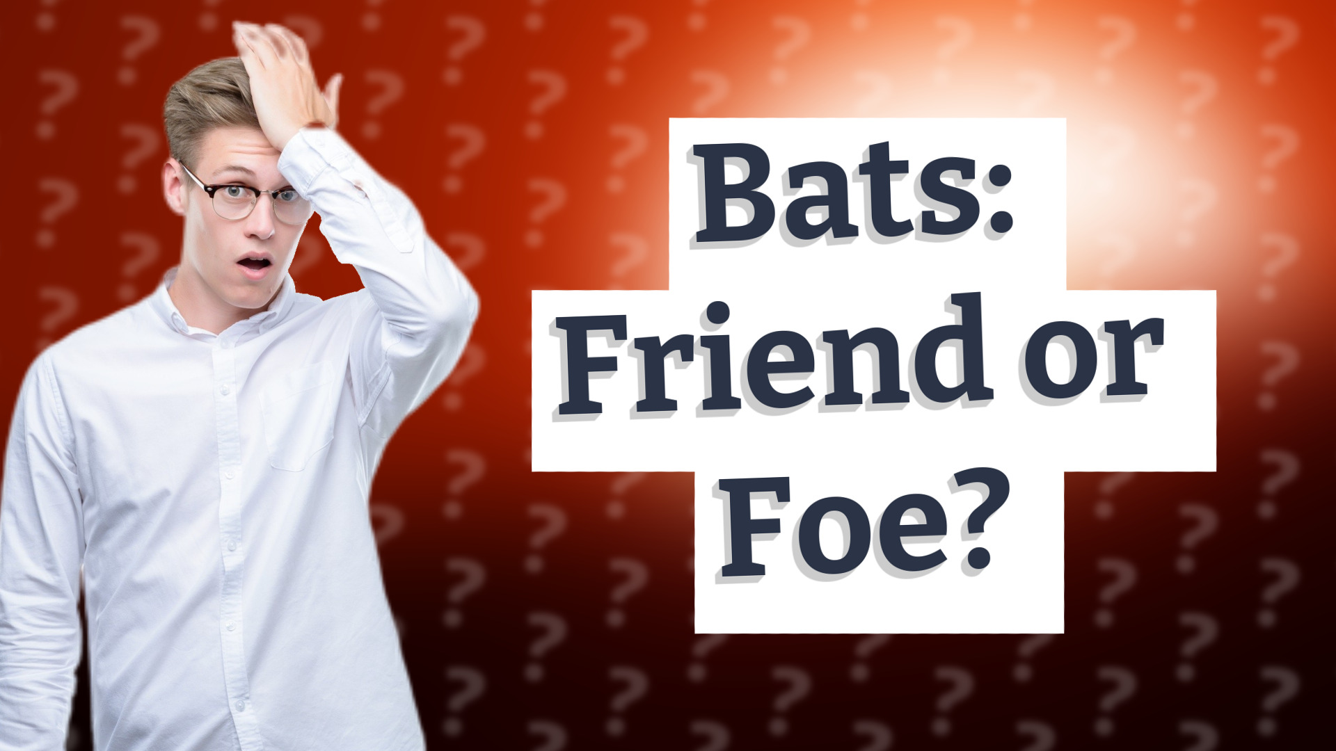 Bats: Friend or Foe?