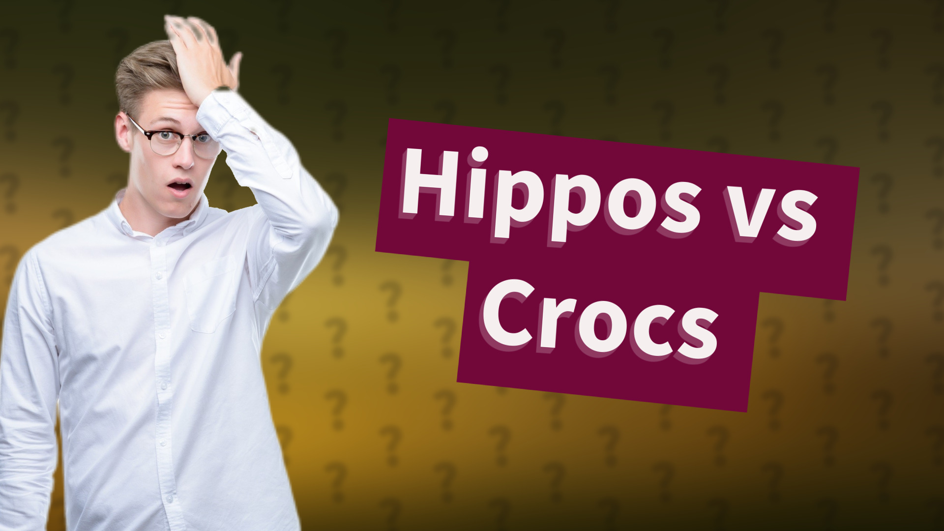 Hippos vs Crocs
