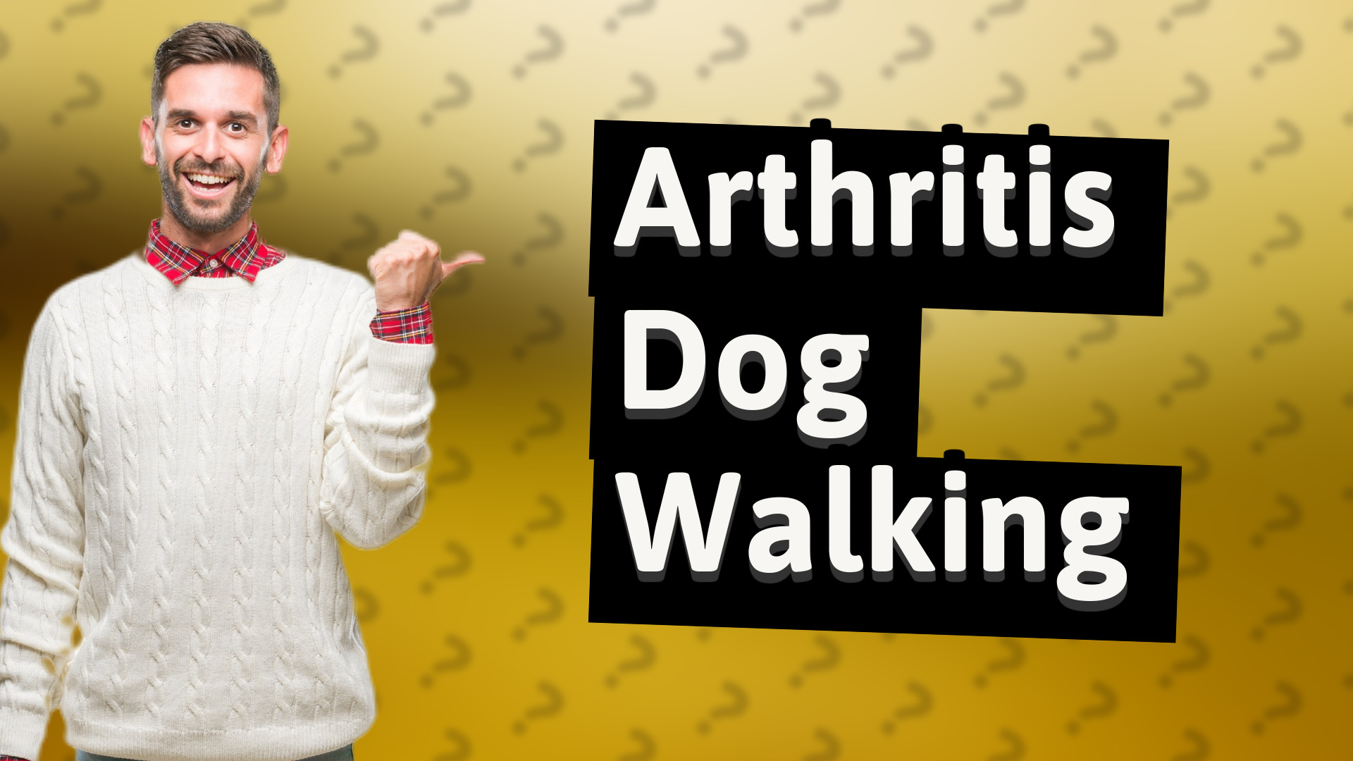 Arthritis Dog Walking