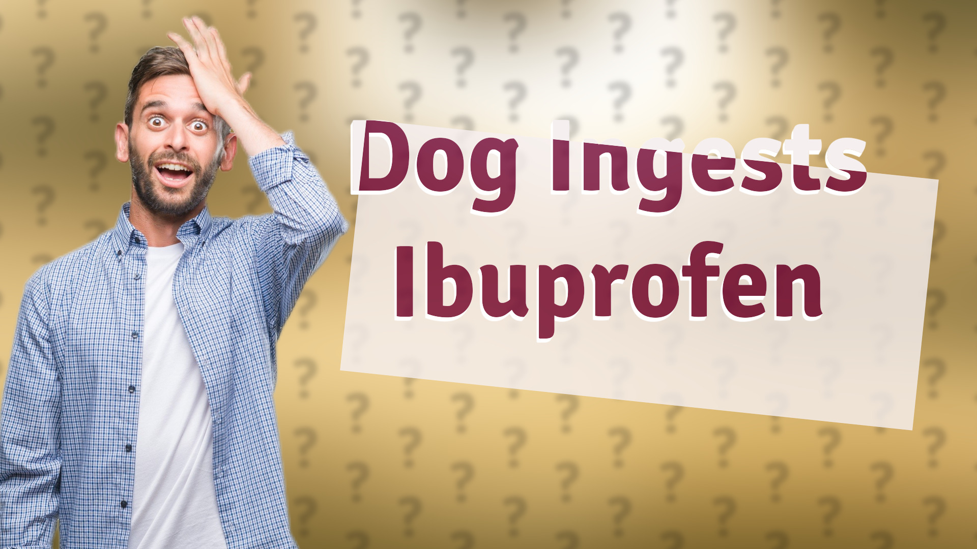 Dog Ingests Ibuprofen