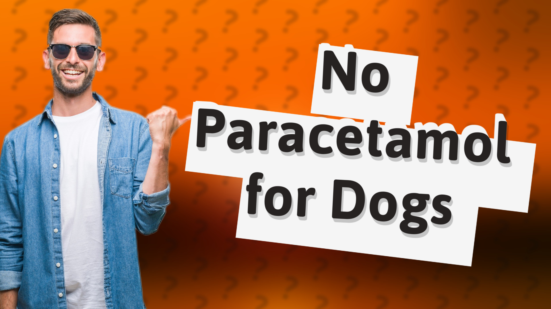 No Paracetamol for Dogs