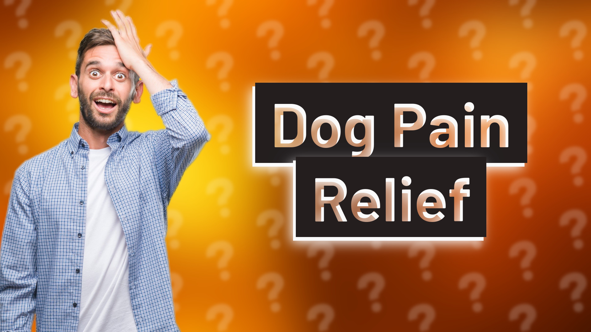 Dog Pain Relief