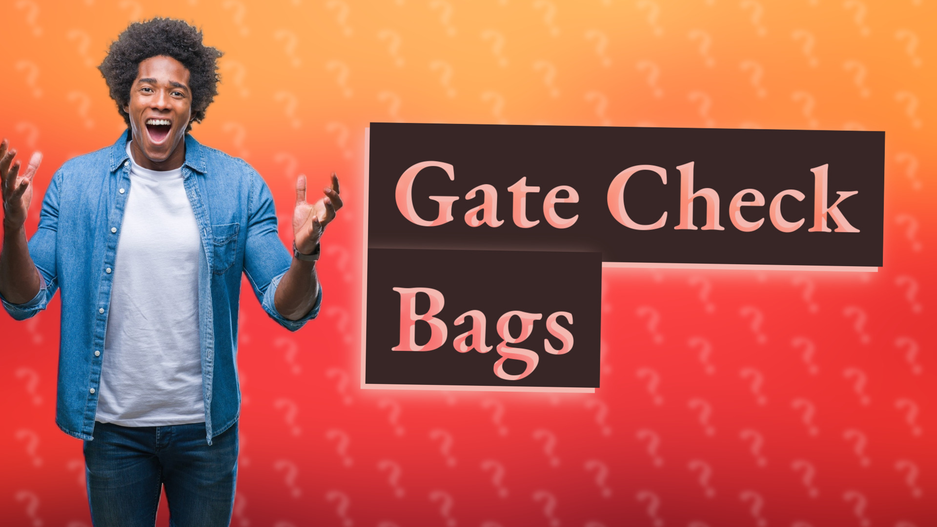 Gate Check Bags
