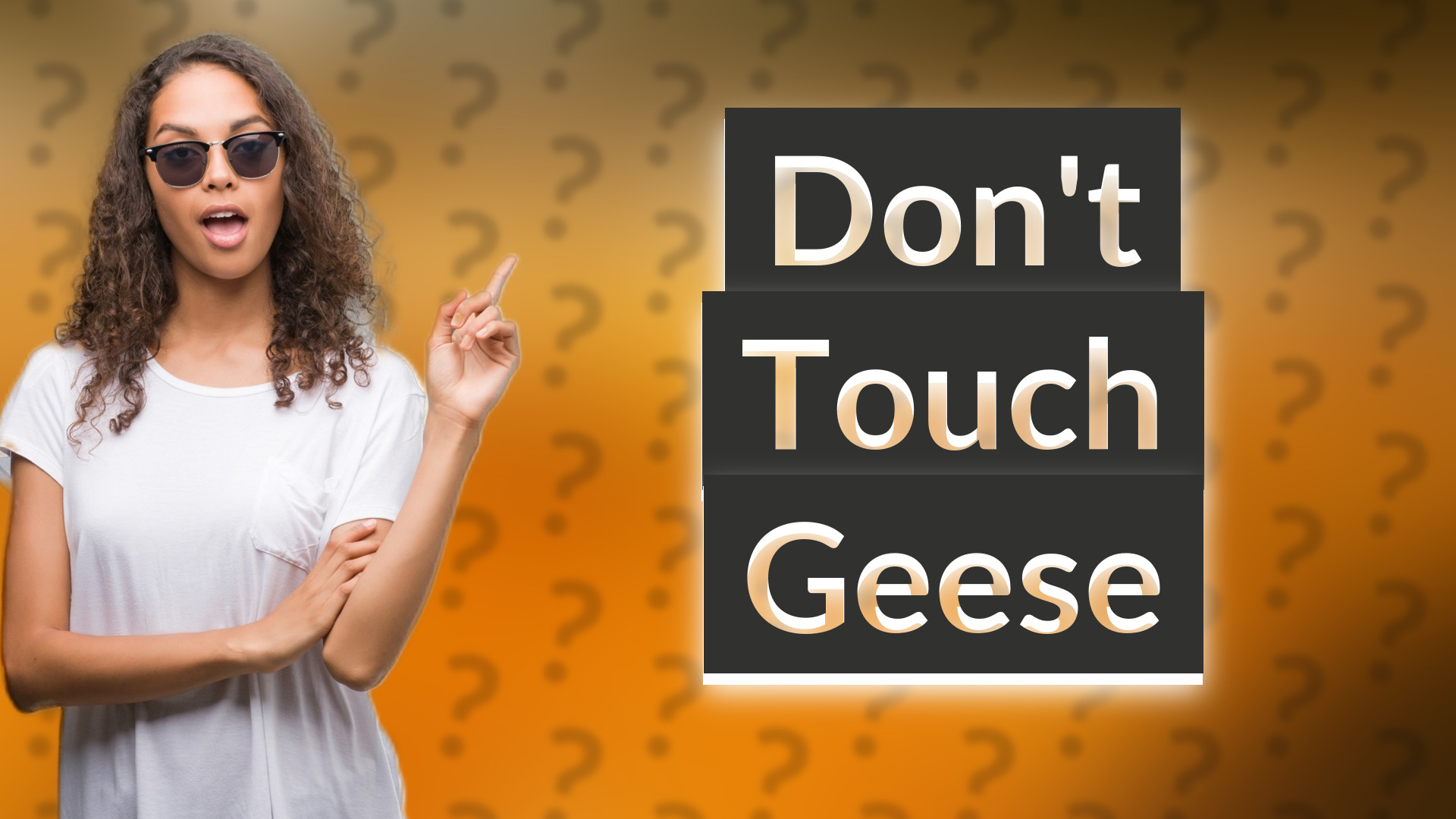 Don't Touch Geese