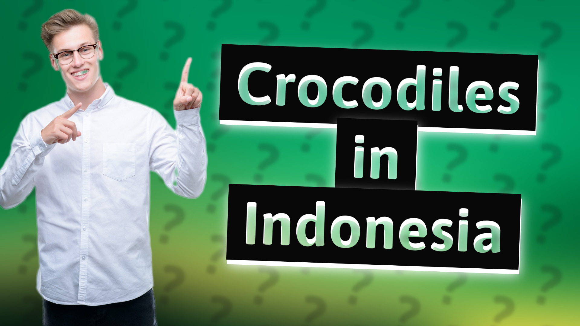 Crocodiles in Indonesia