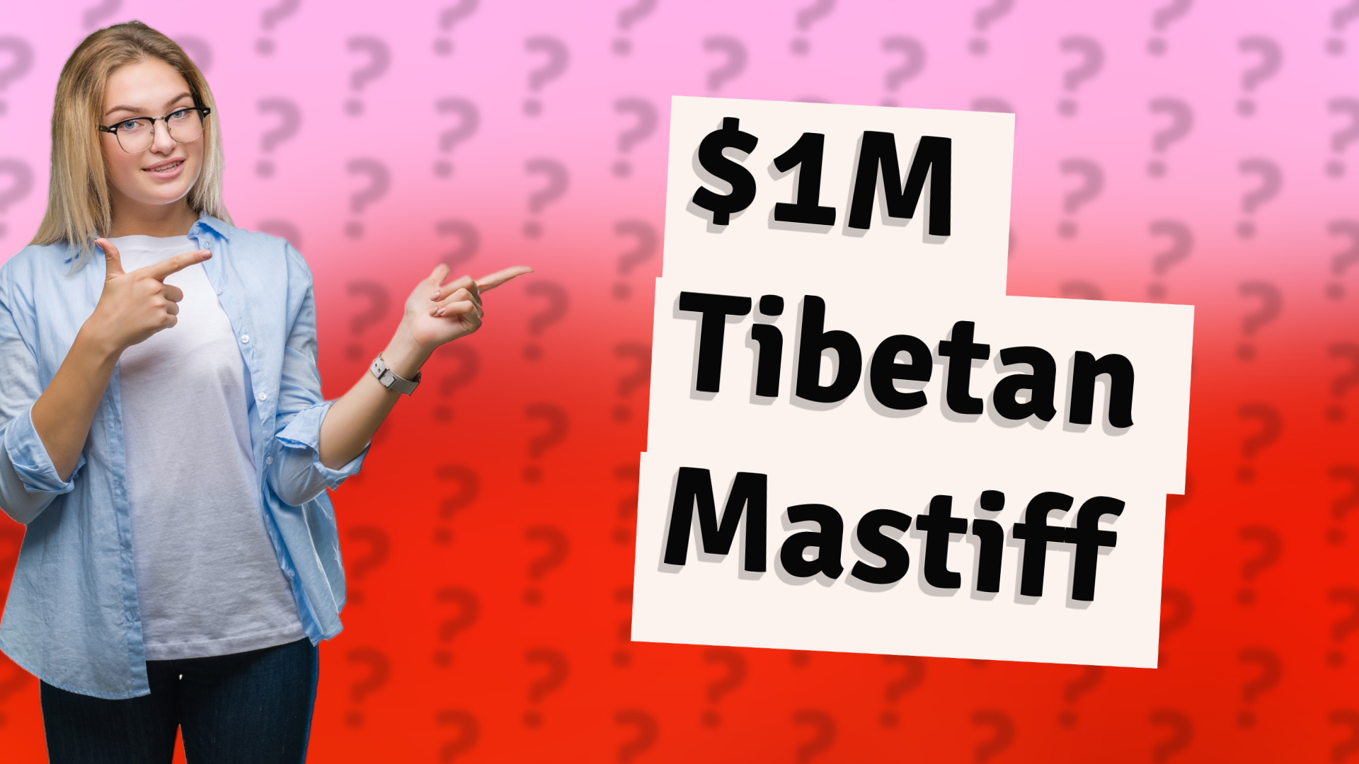 $1M Tibetan Mastiff