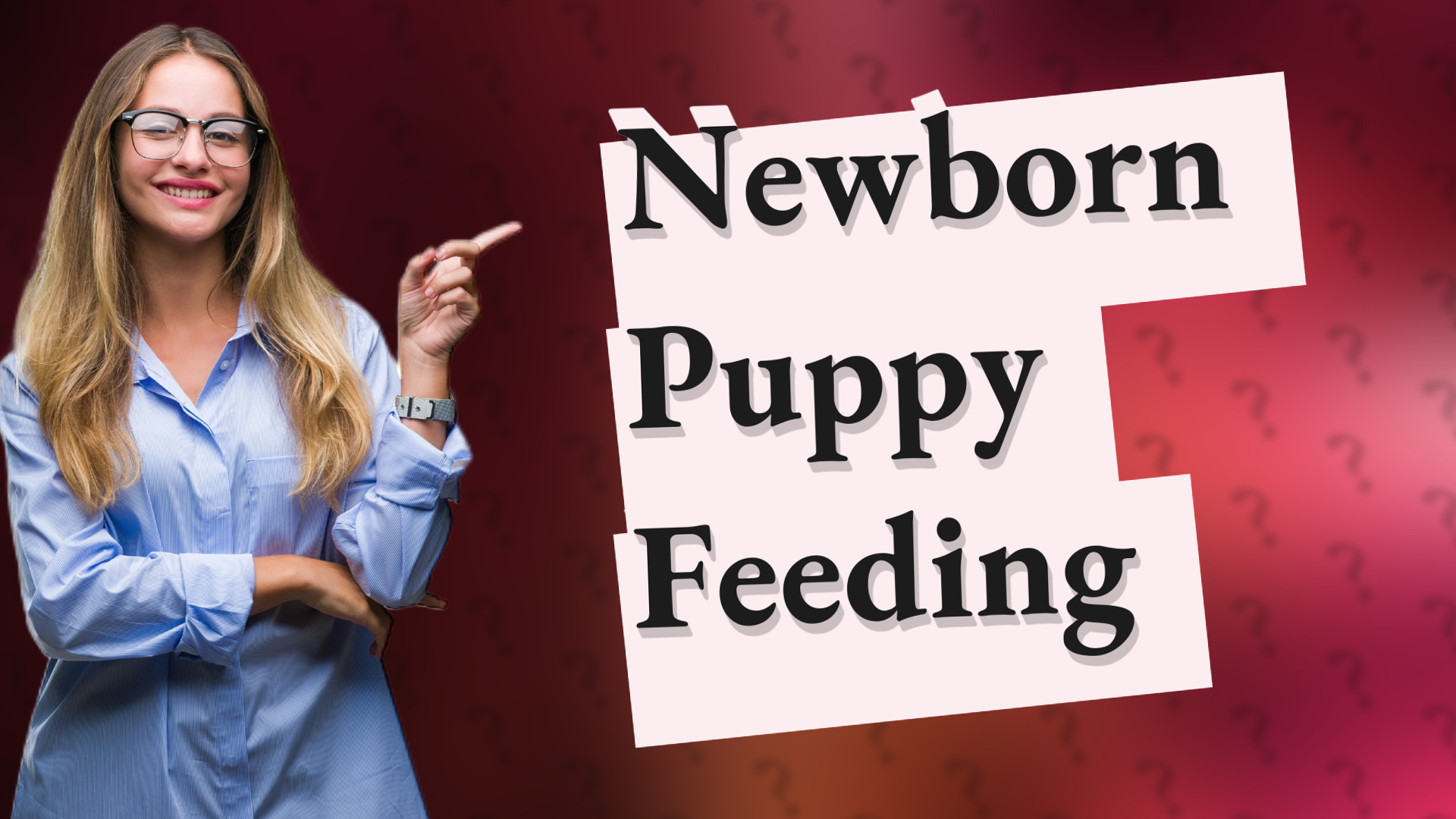Newborn Puppy Feeding
