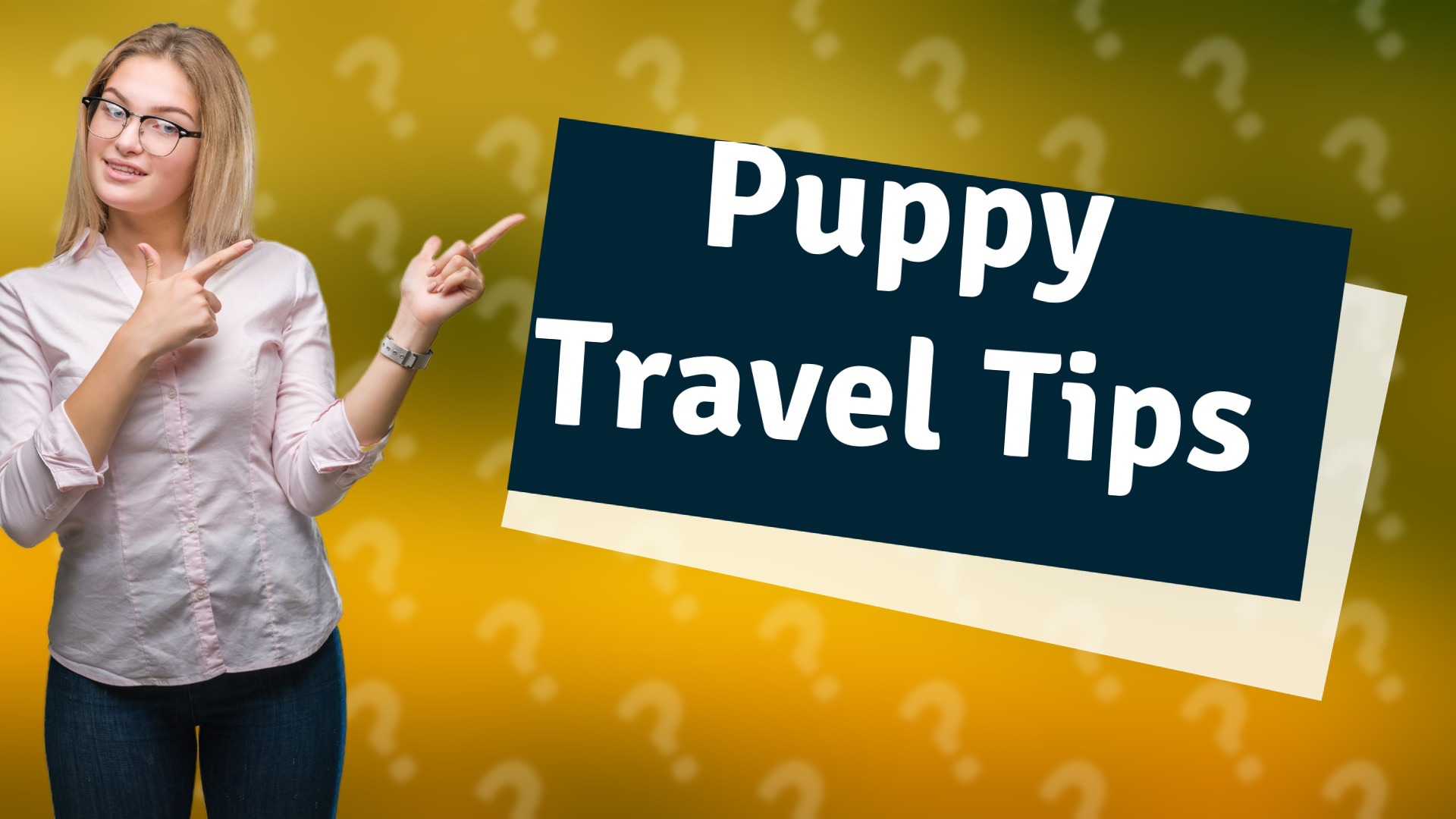 Puppy Travel Tips