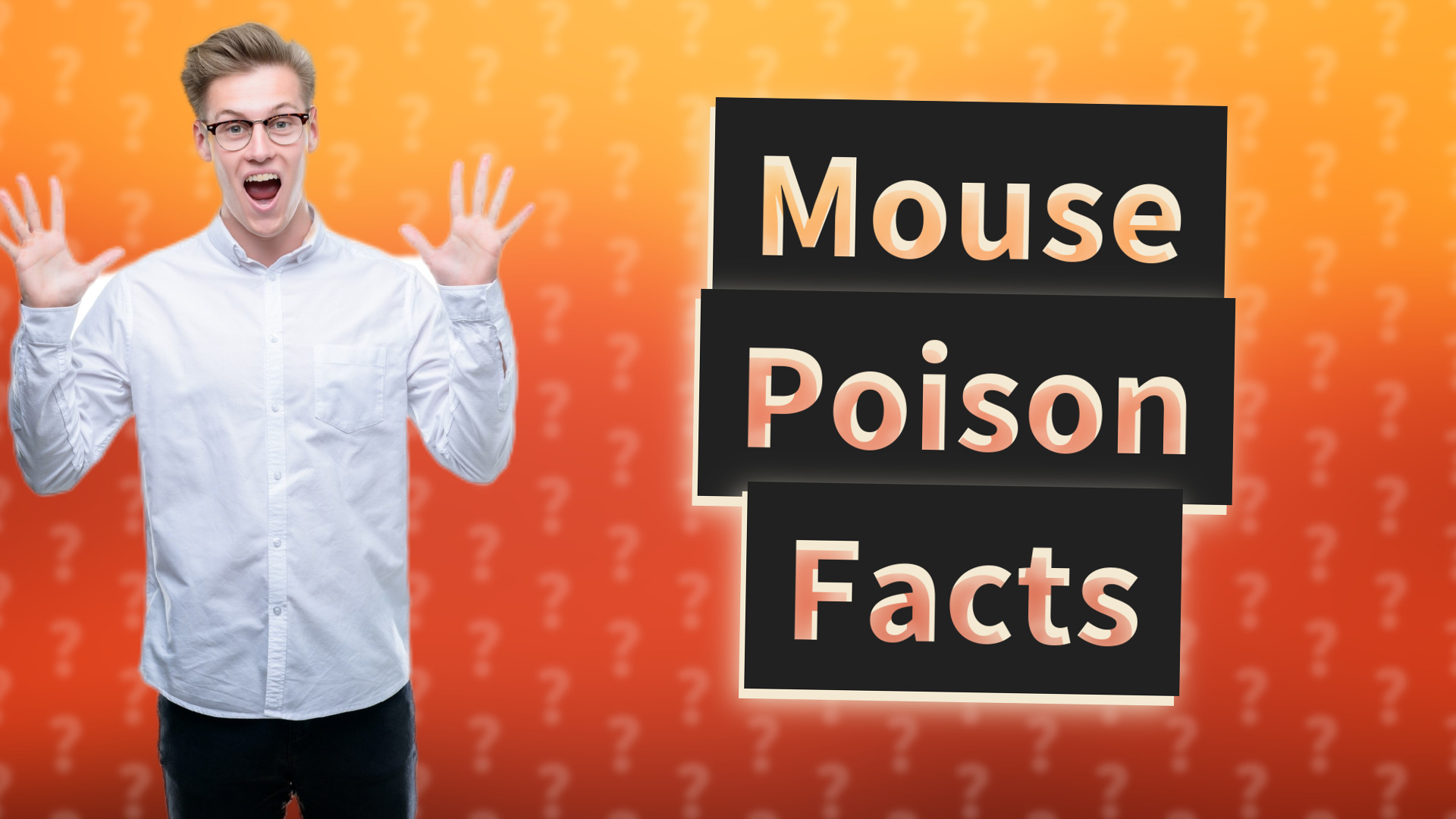 Mouse Poison Facts
