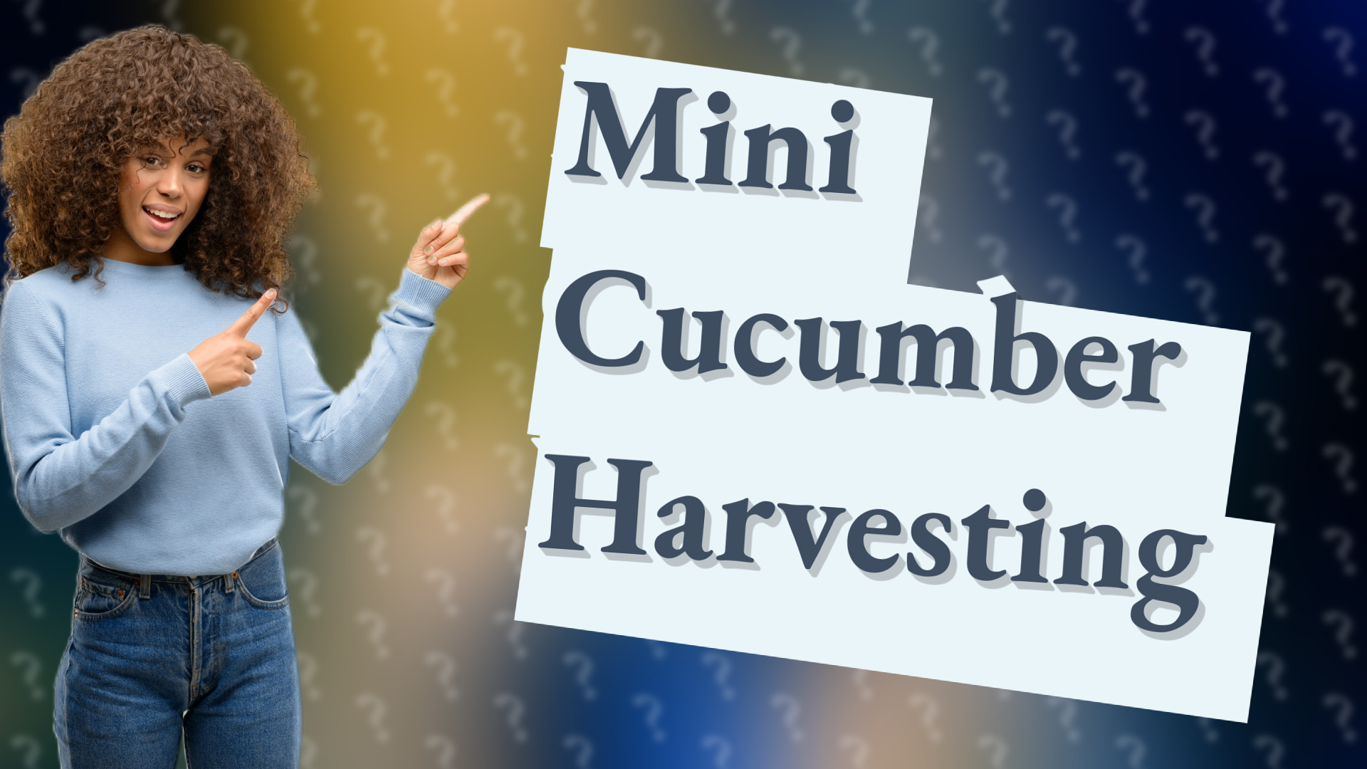 Mini Cucumber Harvesting