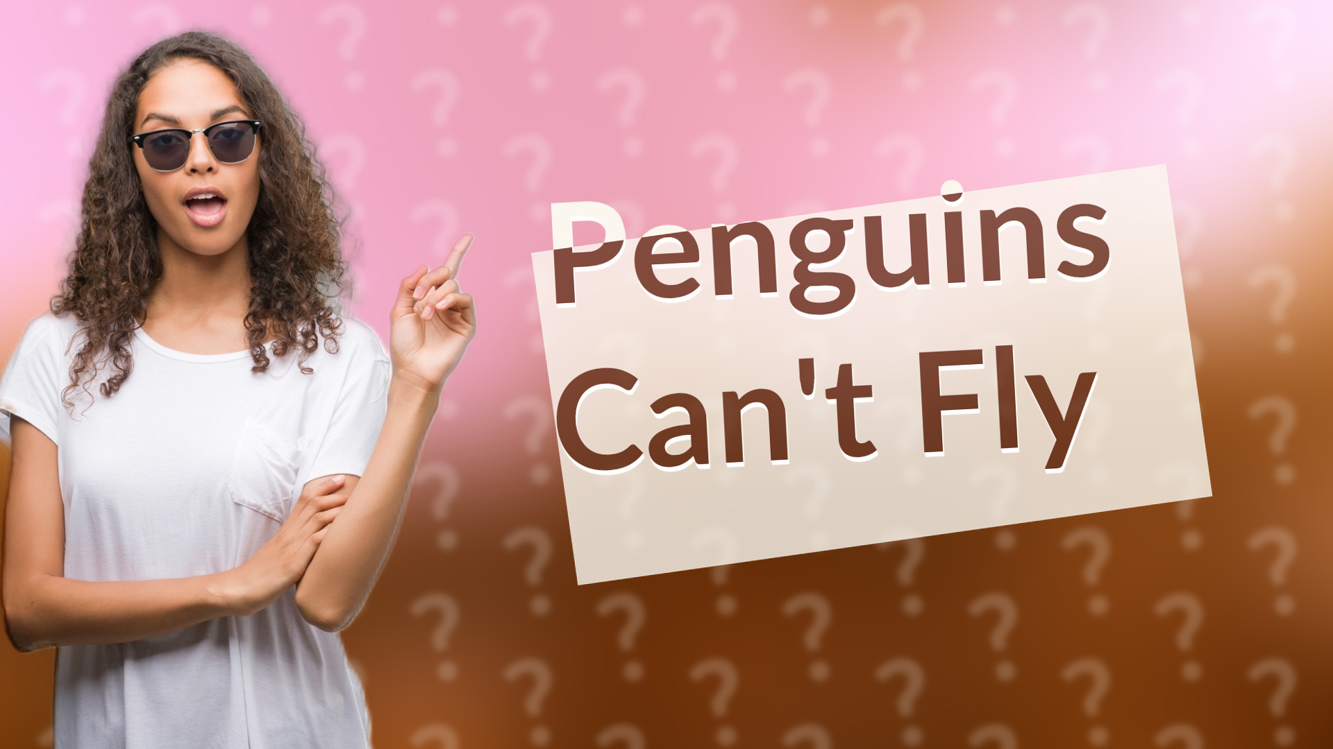 Penguins Can't Fly