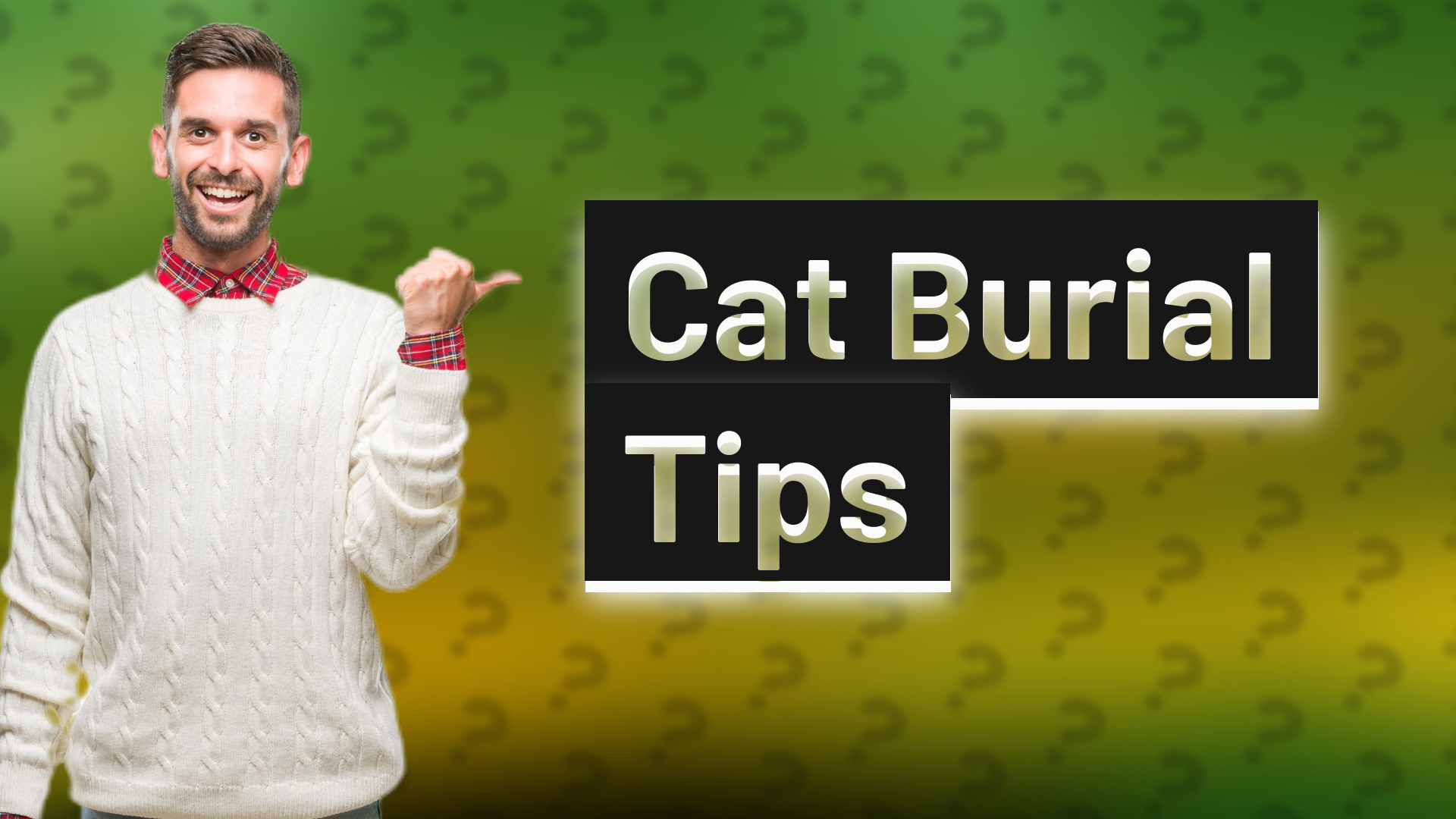 Cat Burial Tips