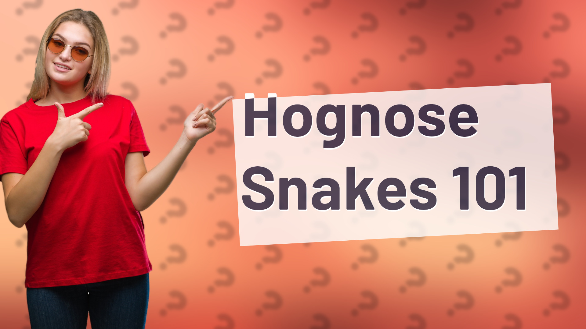 Hognose Snakes 101