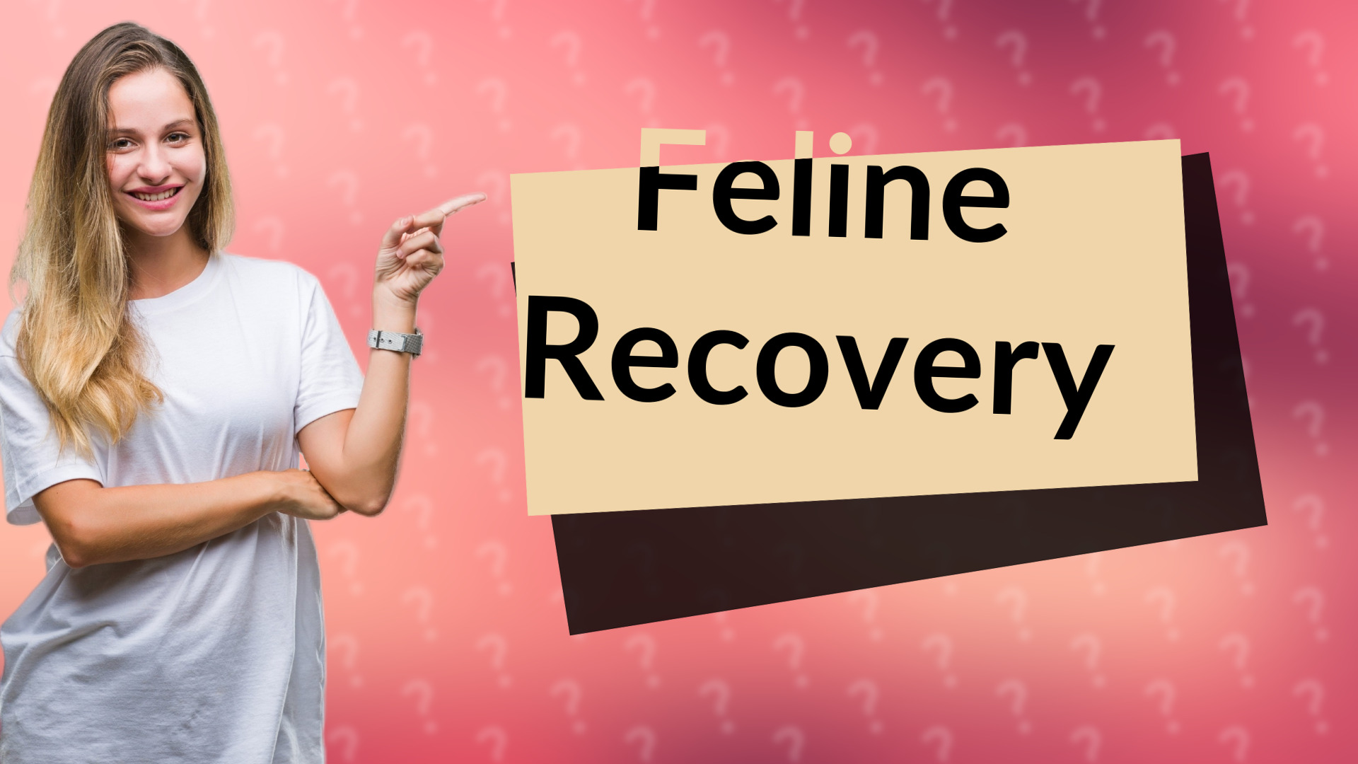 Feline Recovery