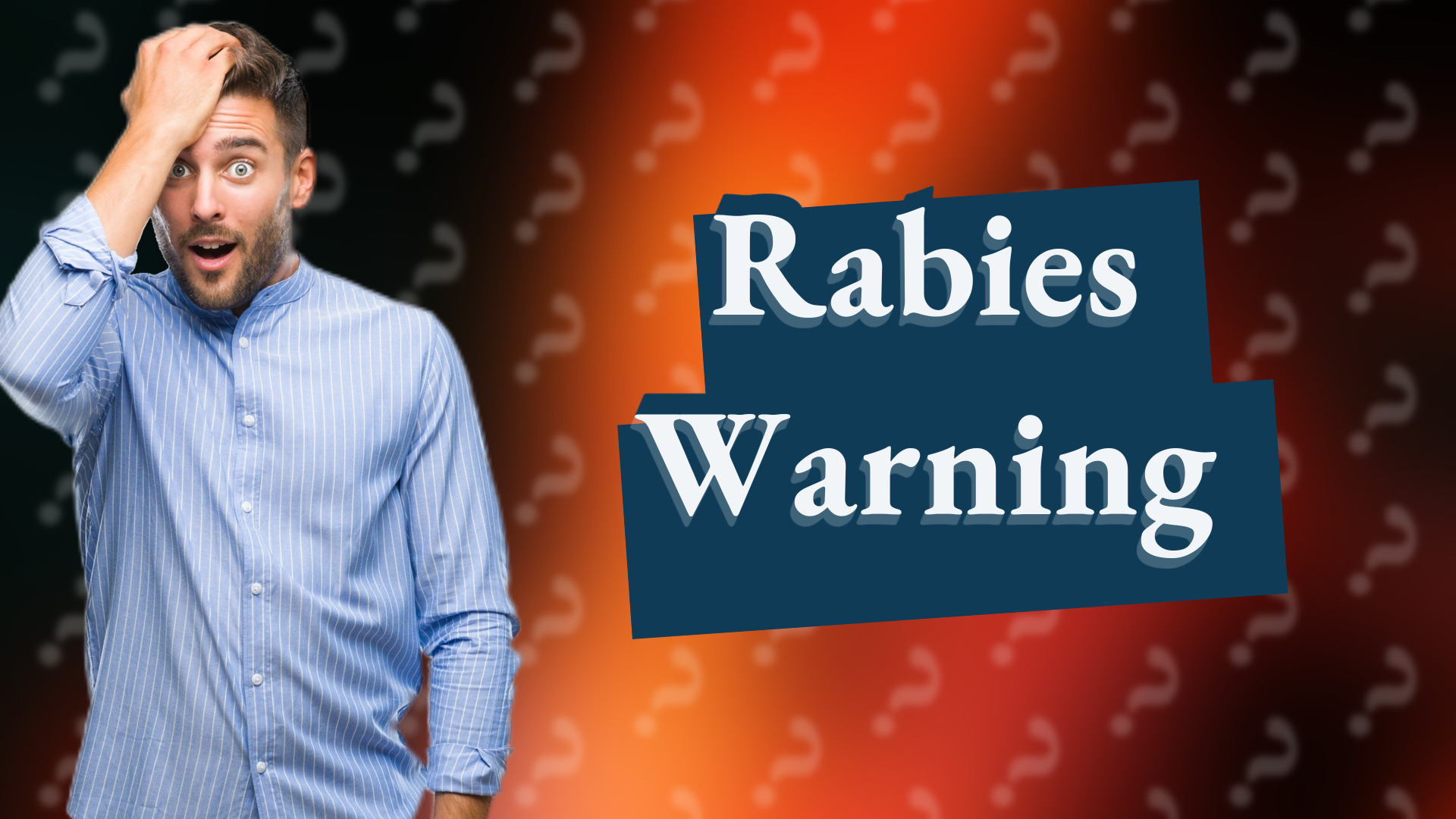 Rabies Warning