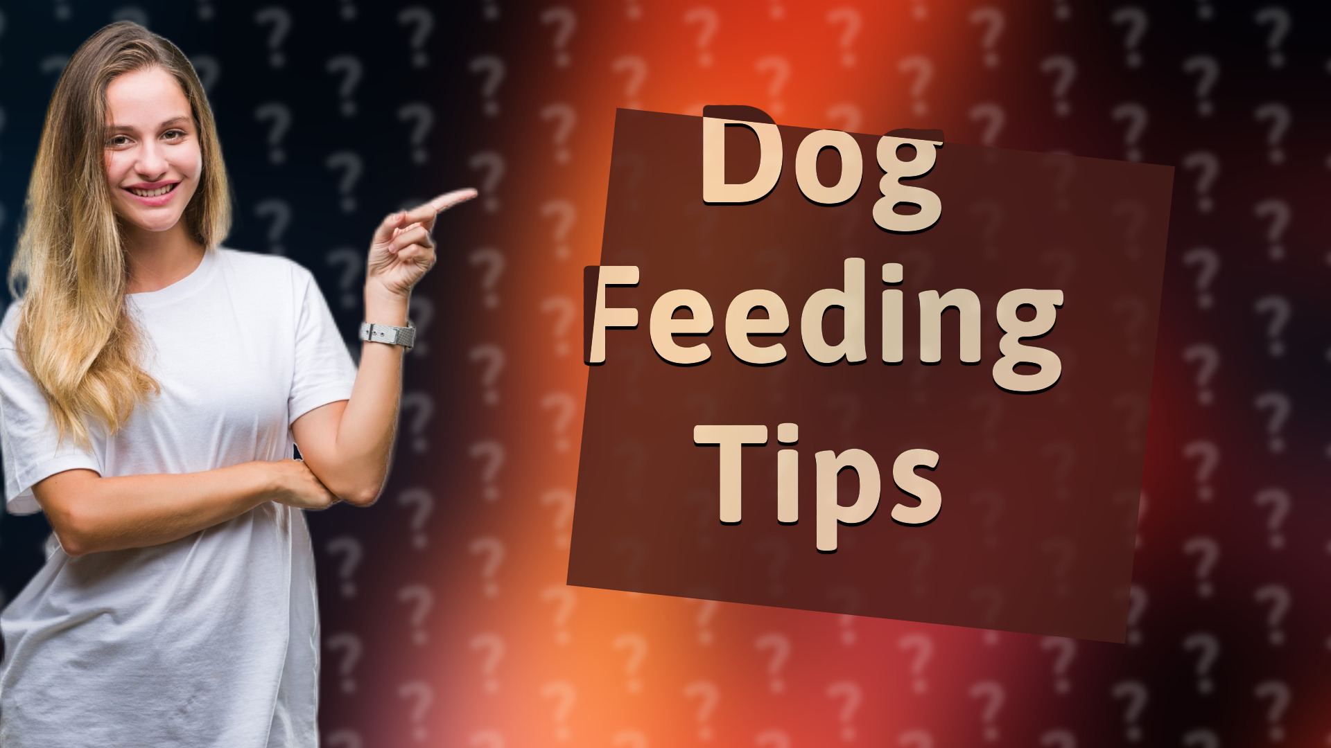 Dog Feeding Tips