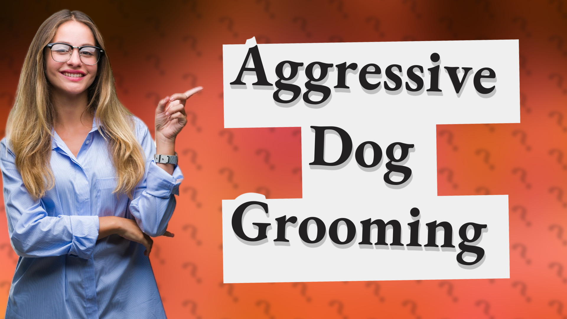 Aggressive Dog Grooming